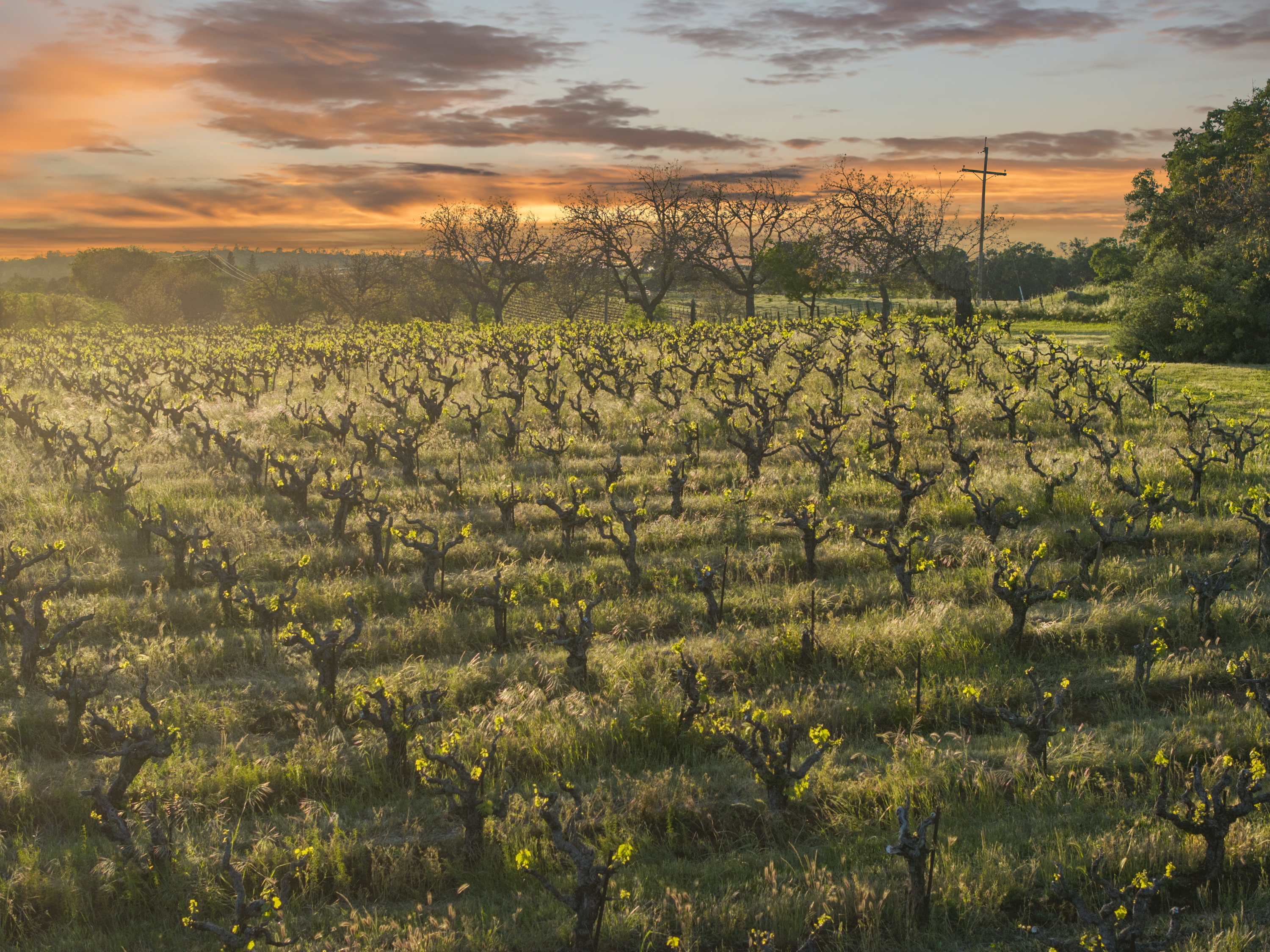  107 Acres - Seasonal Creek - Legacy - 物件實景
