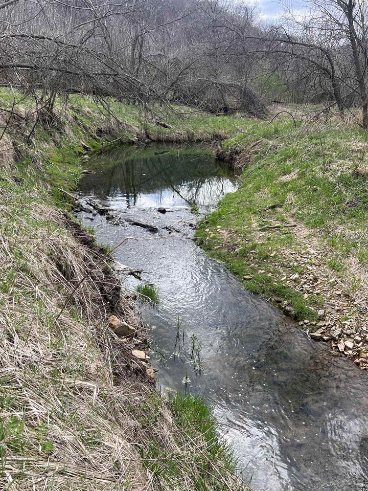 Ferryville, Wisconsin, 54628, United States, ,Land,For Sale,1987419