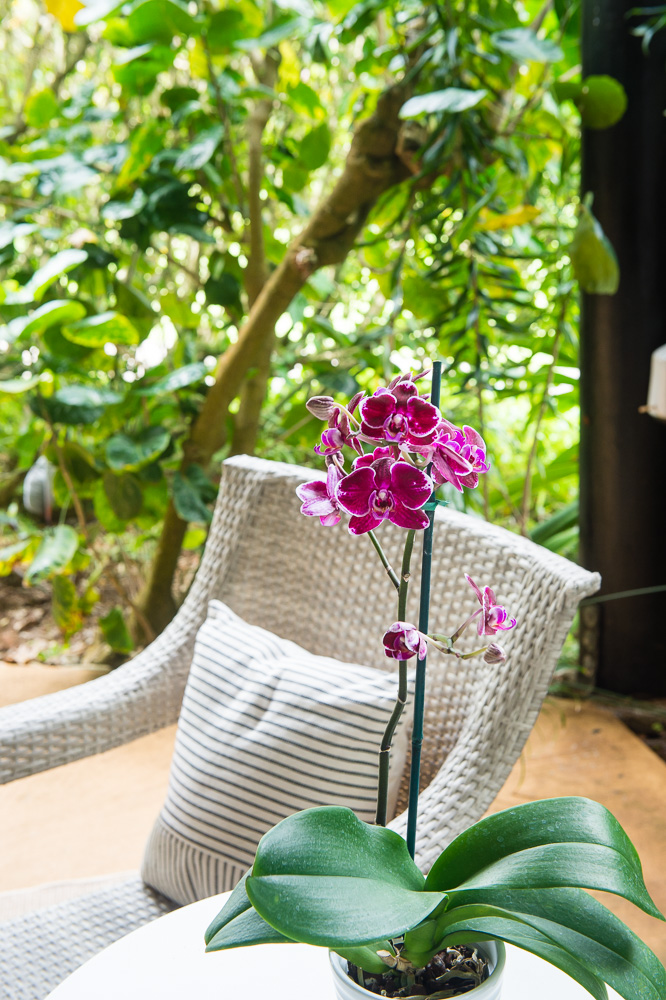Princeville, Hawaii, 96722, United States, 2 Bedrooms Bedrooms, ,2 BathroomsBathrooms,Residential,For Sale,1866789