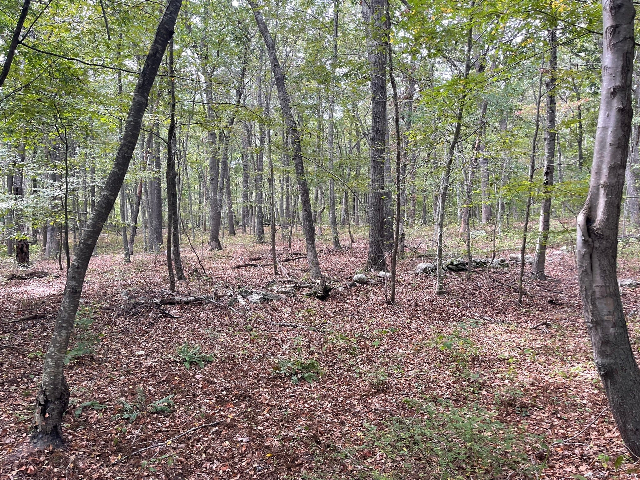 Old Lyme, Connecticut, 06371, United States, ,Land,For Sale,1979689