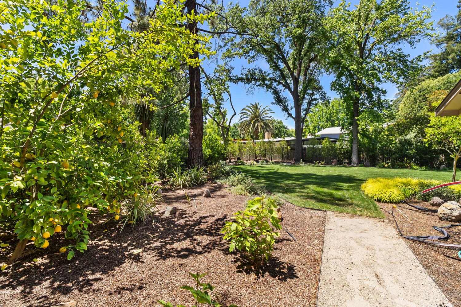 Carmichael, California, 95608, United States, 4 Bedrooms Bedrooms, ,3 BathroomsBathrooms,Residential,For Sale,1986318