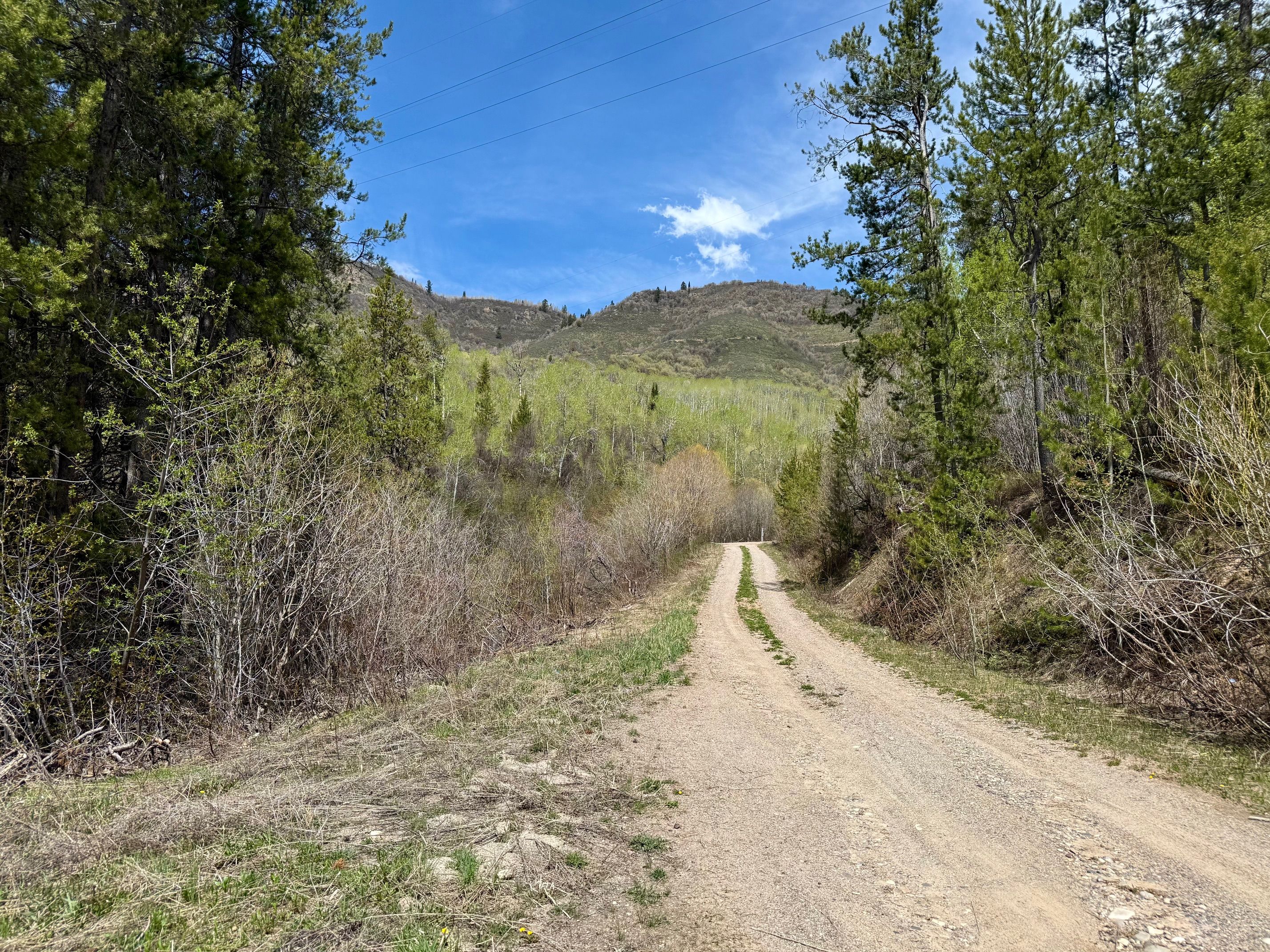  Property Overlooking the Palisades Reservoir - 物件實景