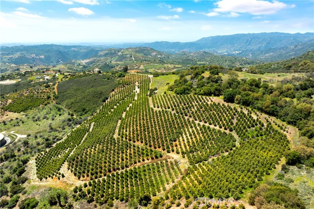 Temecula, California, 92590, United States, ,Land,For Sale,1988862