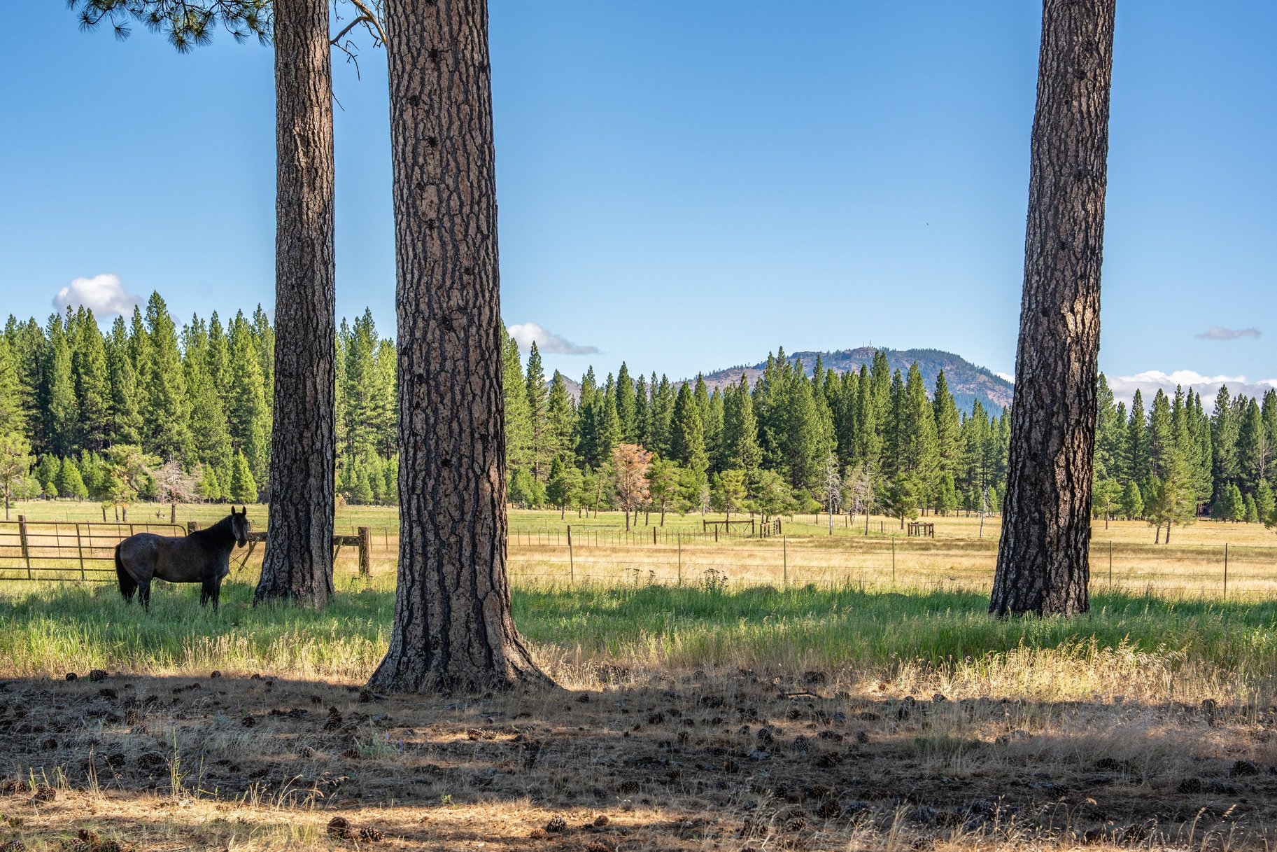  Landmark Ranch in California