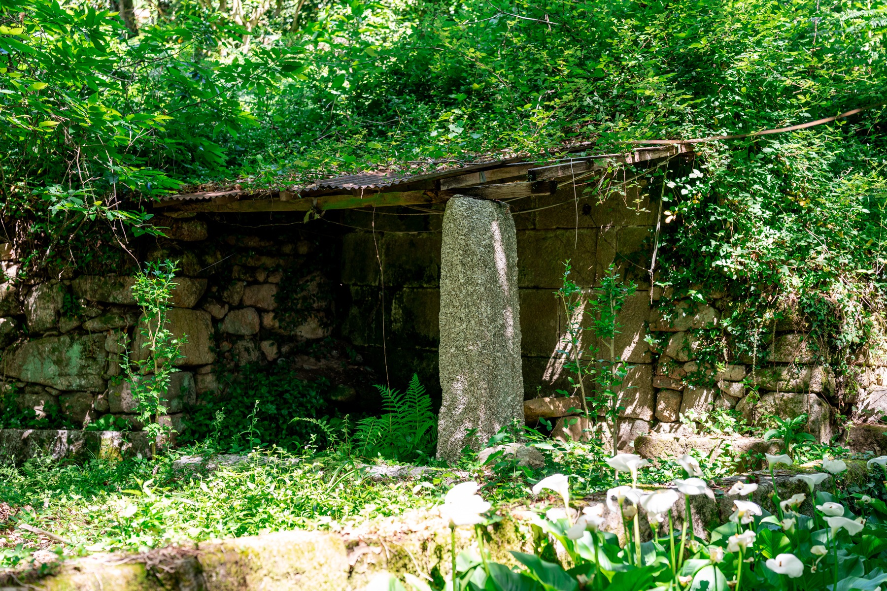  Farm for Sale - 物件實景