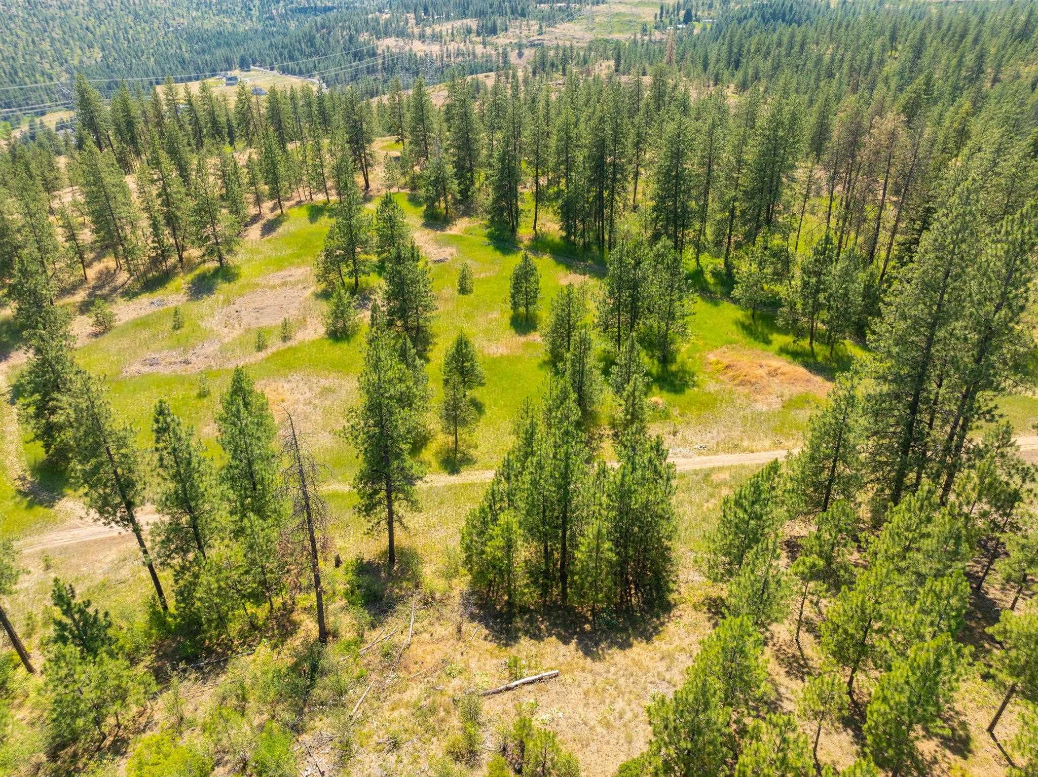 Nine Mile Falls, Washington, 99026, United States, ,Land,For Sale,1960887