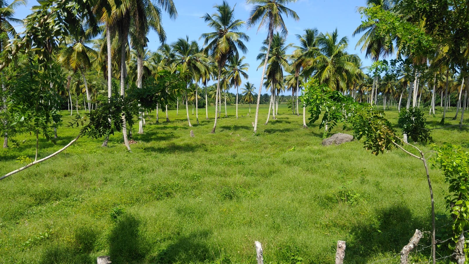 Las Terrenas, DO, ,Land,For Sale,1620981