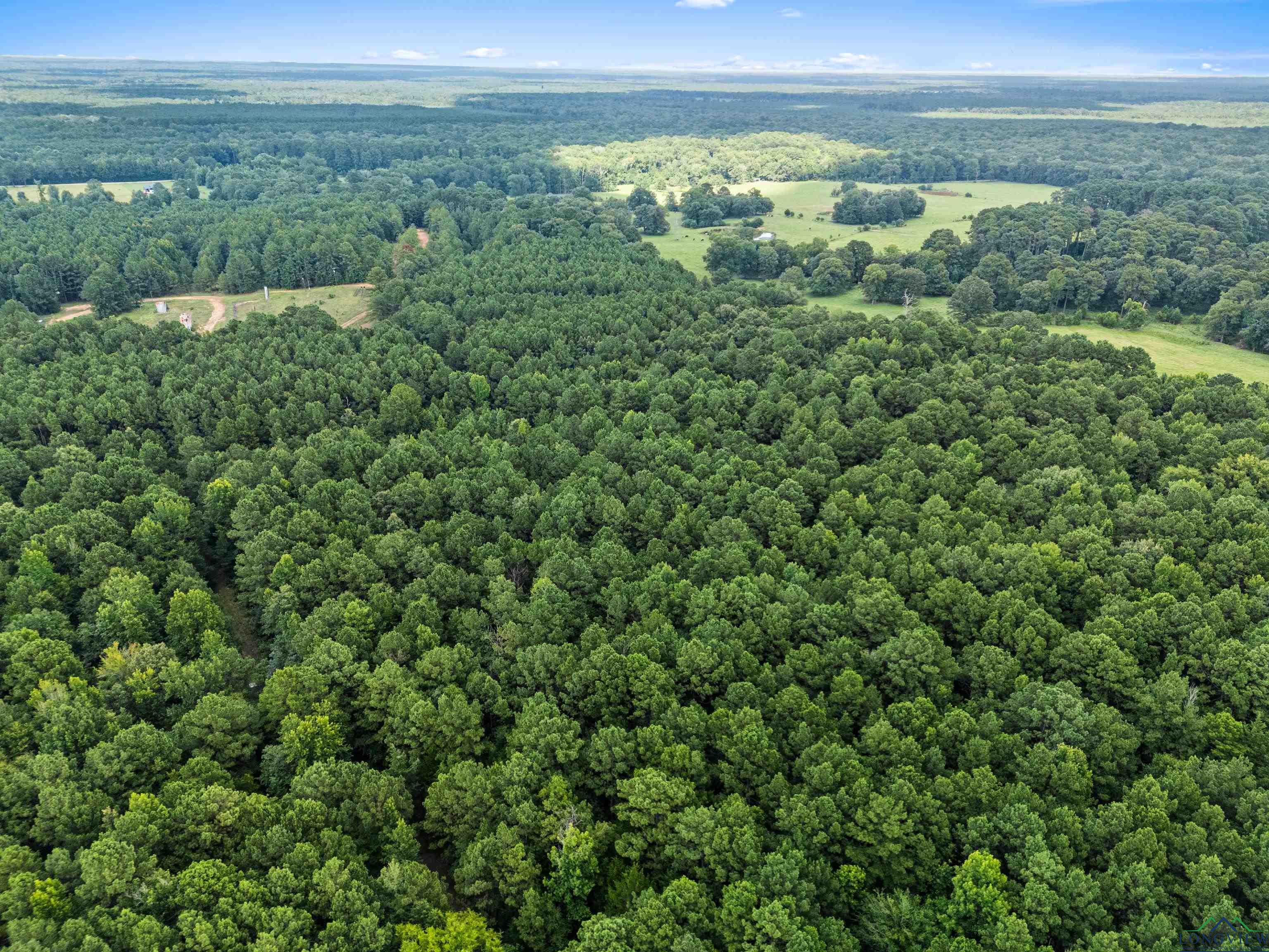 Jefferson, Texas, 75657, United States, ,Land,For Sale,1890245