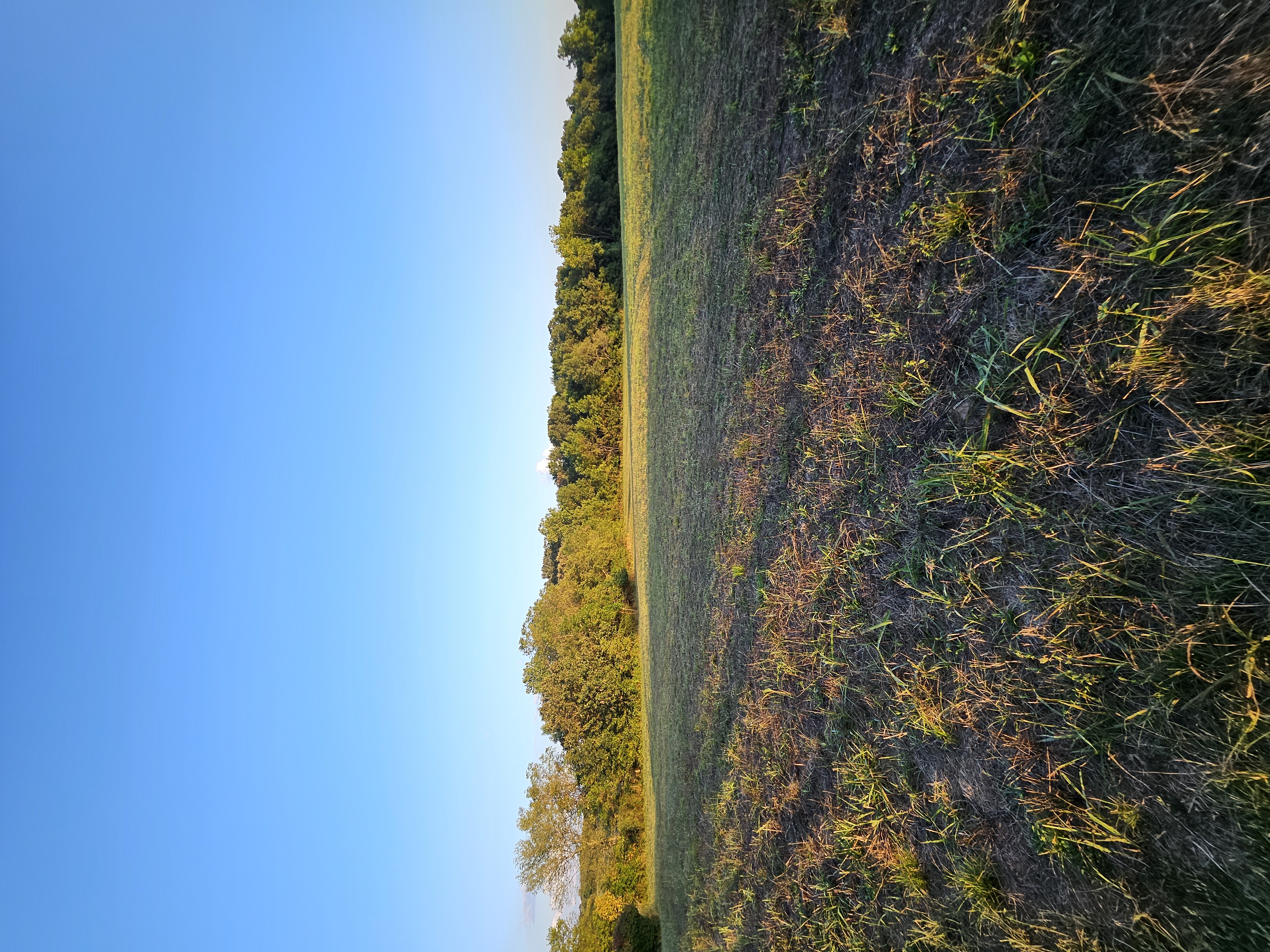 Pierce City, Missouri, 65723, United States, 5 Bedrooms Bedrooms, ,3 BathroomsBathrooms,Residential,For Sale,1975319