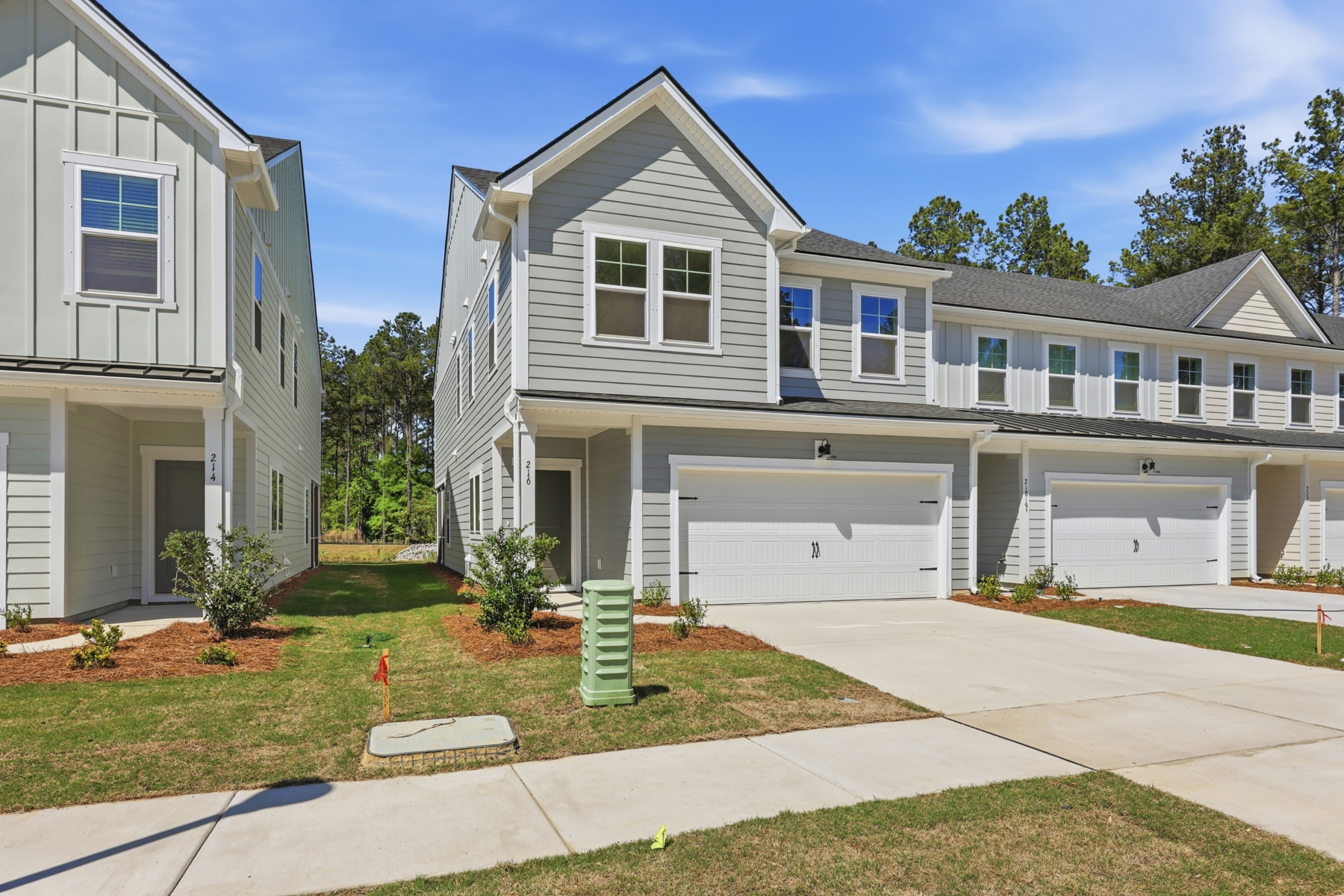  216 Twinleaf Court, Charleston - 物件實景