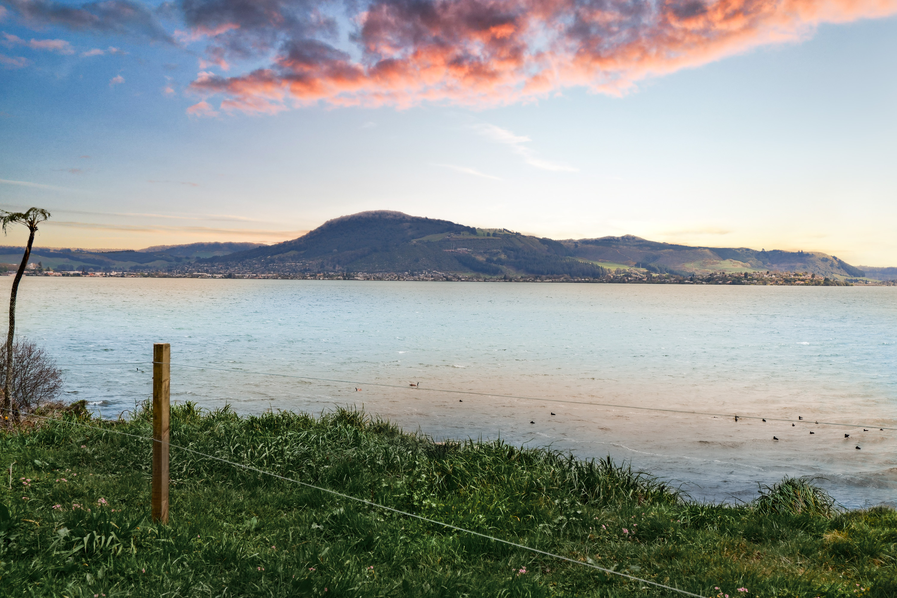  Lakefront Living at Hinemoa Point - 物件實景