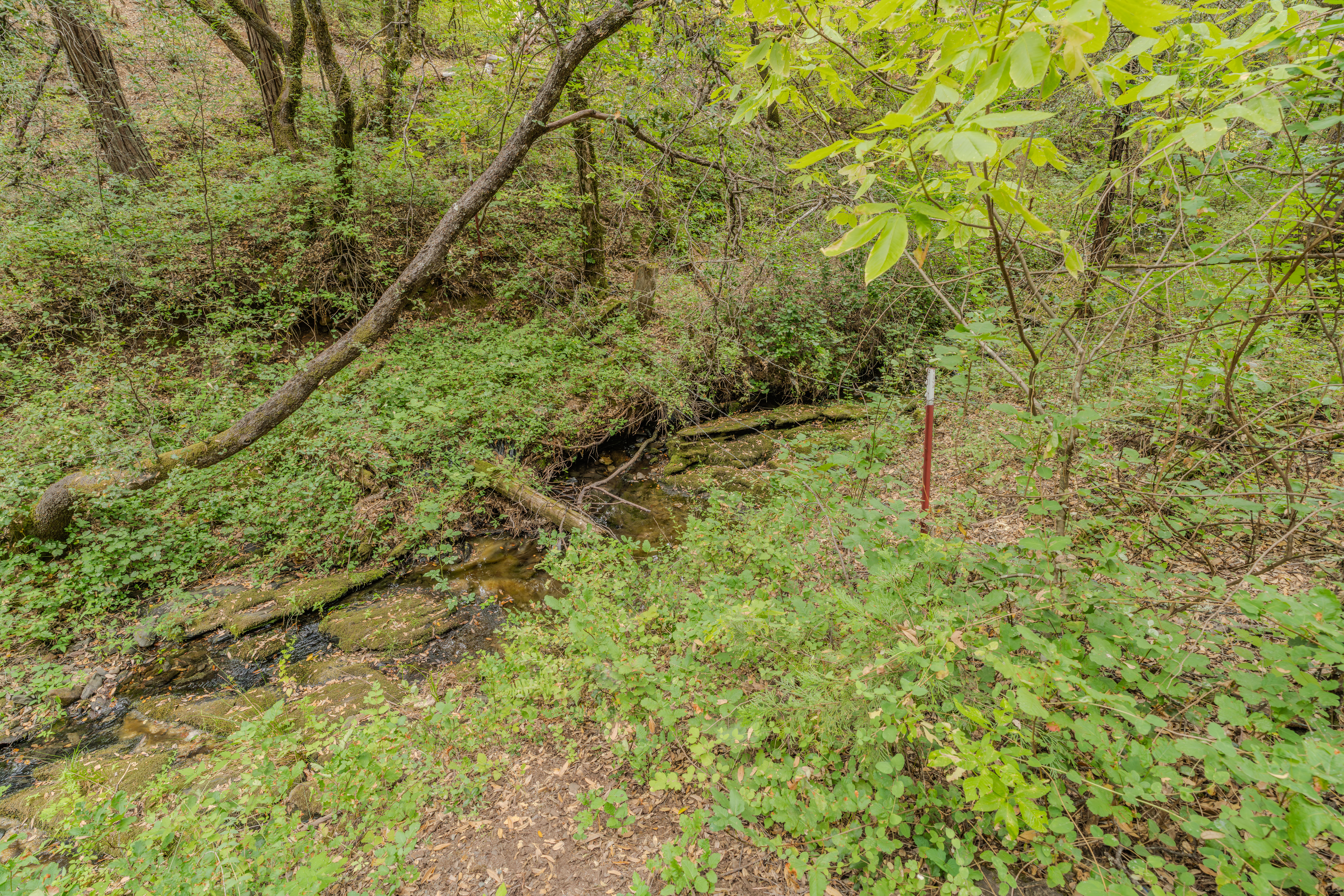  18101 Old River Road, Fiddletown, CA 95629 - 物件實景