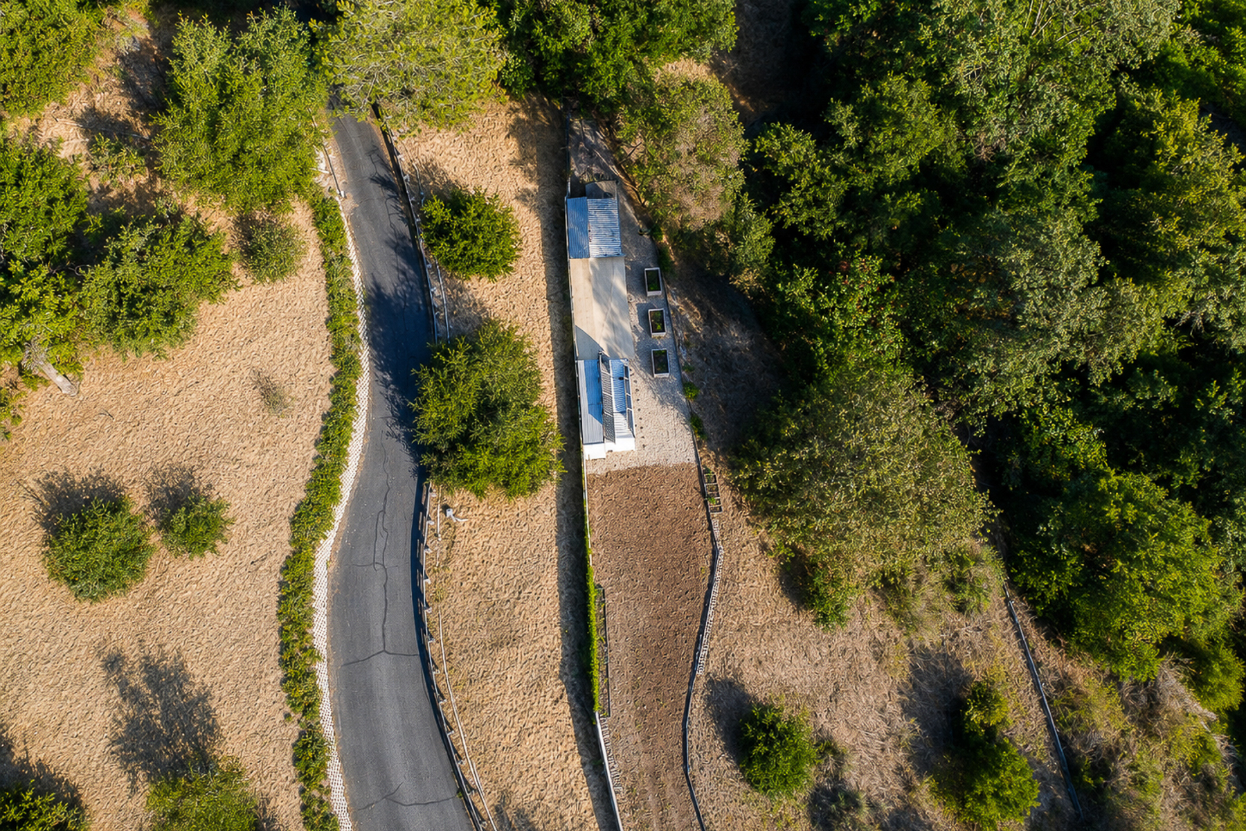  Foothill Views, Endless Potential - 物件實景