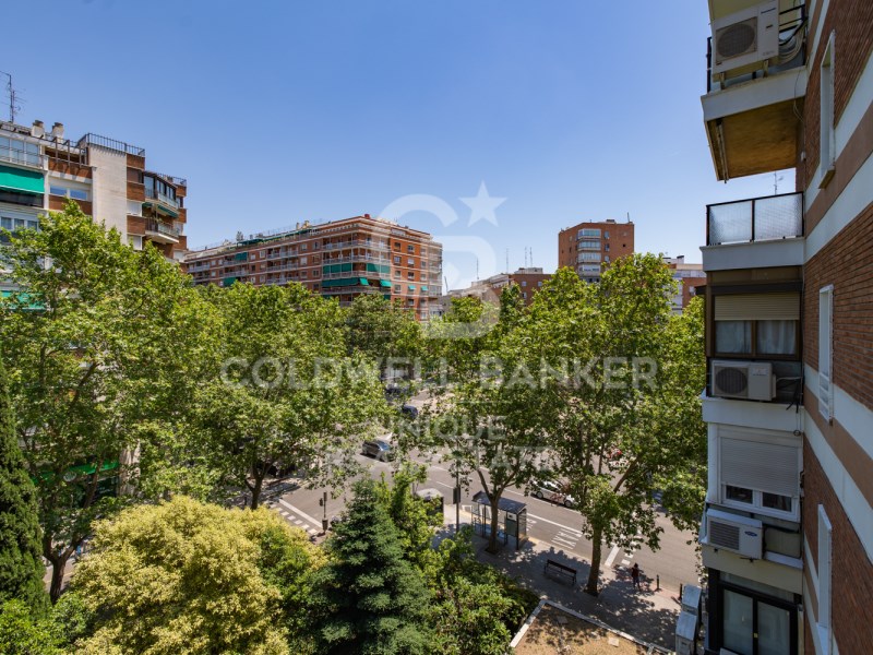 Madrid, Comunidad de Madrid, ES, 5 Bedrooms Bedrooms, ,3 BathroomsBathrooms,Residential,For Sale,1847498