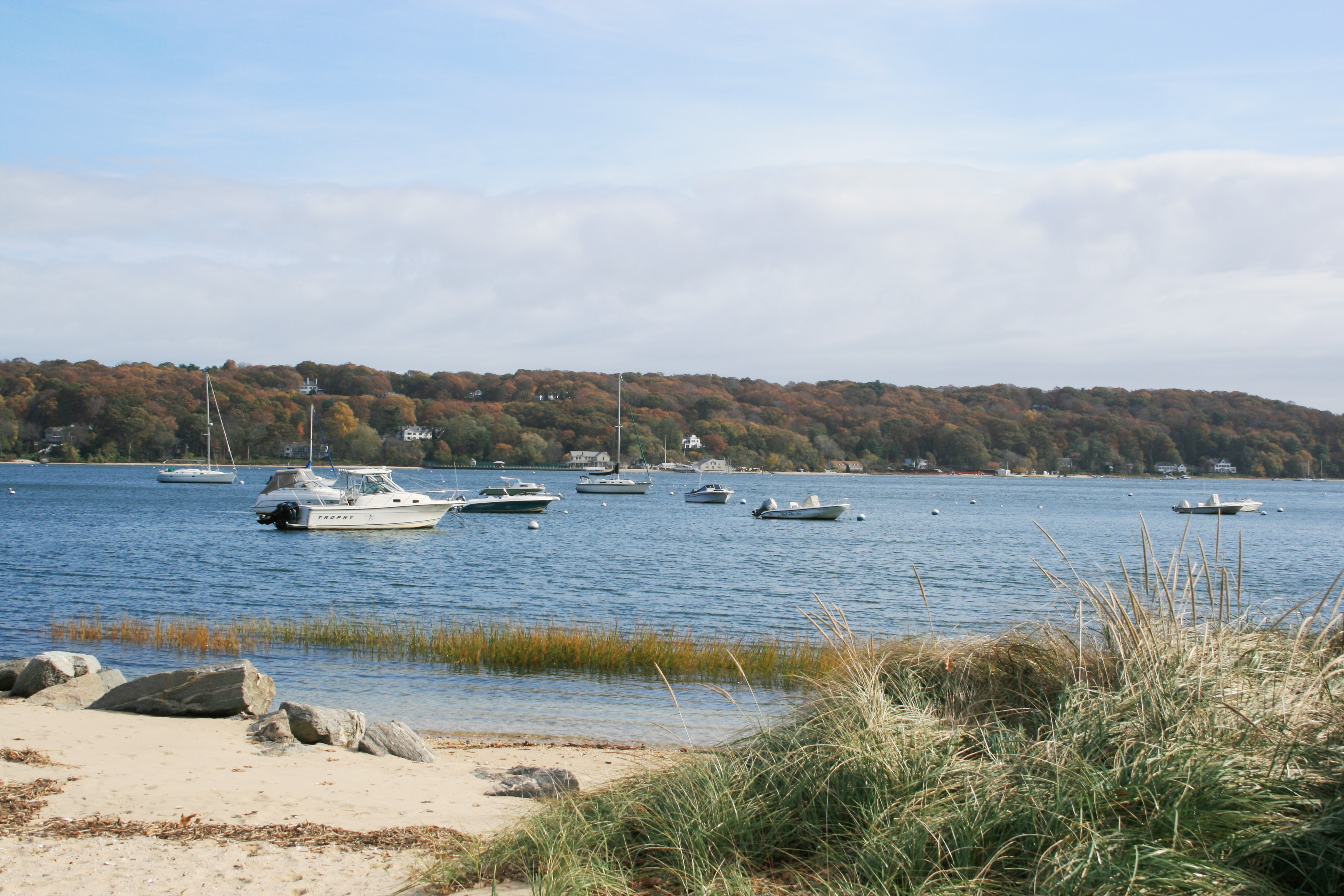  2 Cedarwood Court, Syosset, NY 11791 - 物件實景