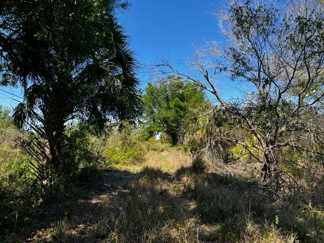 Punta Gorda, Florida, 33982, United States, ,Land,For Sale,1840783