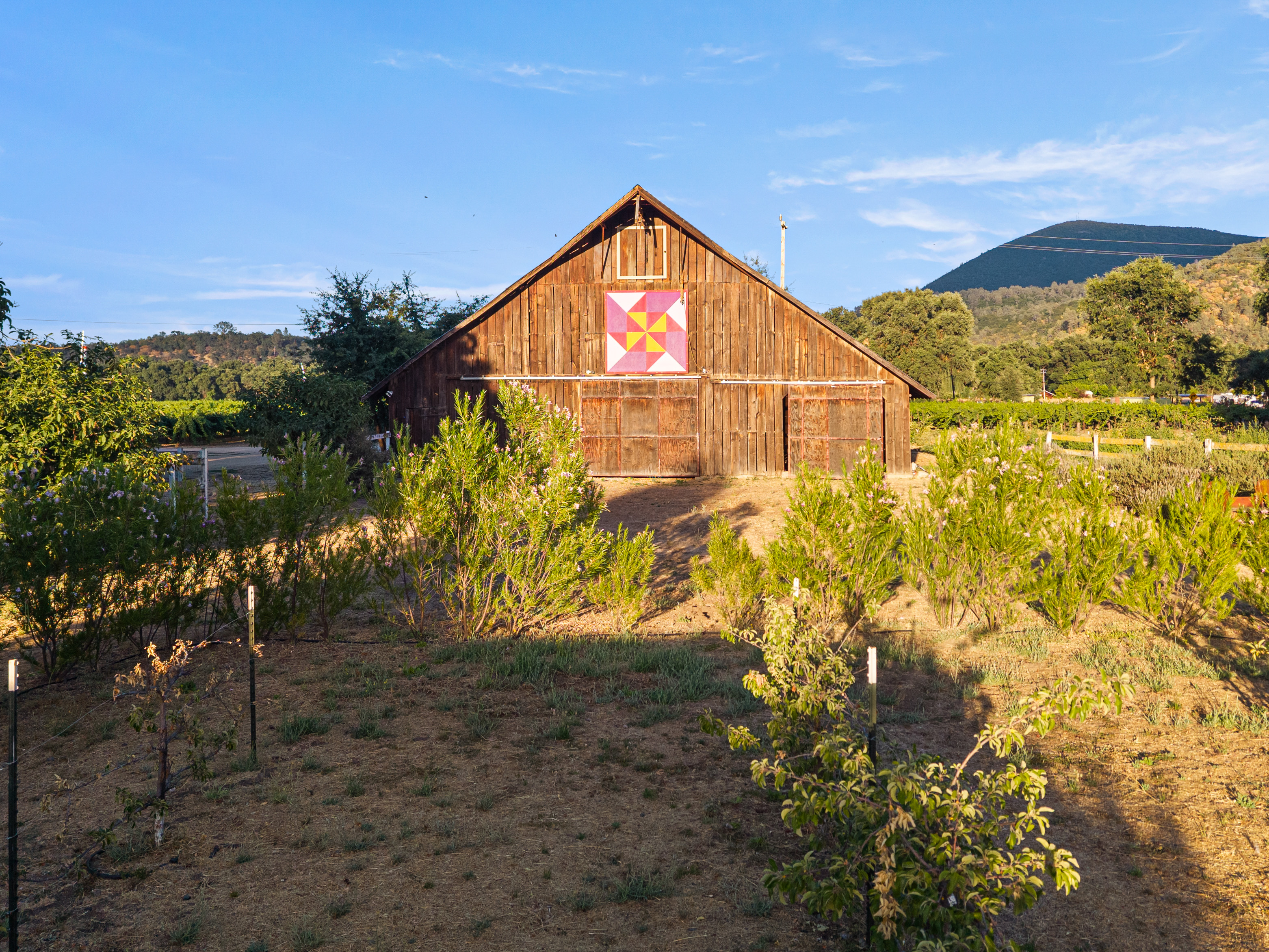  Peace and Plenty Farm - 物件實景