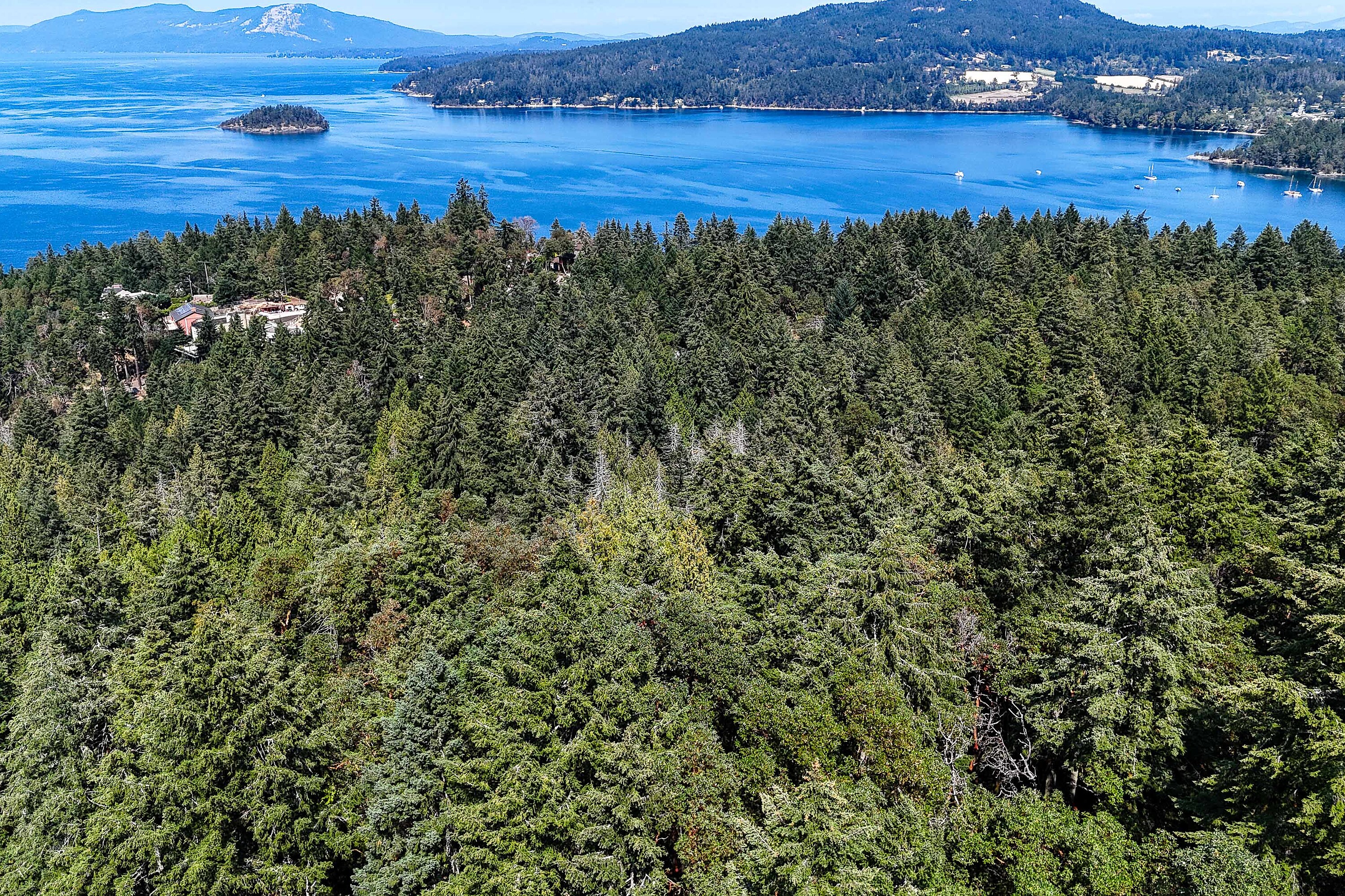  Scenic Peninsula Acreage - 物件實景