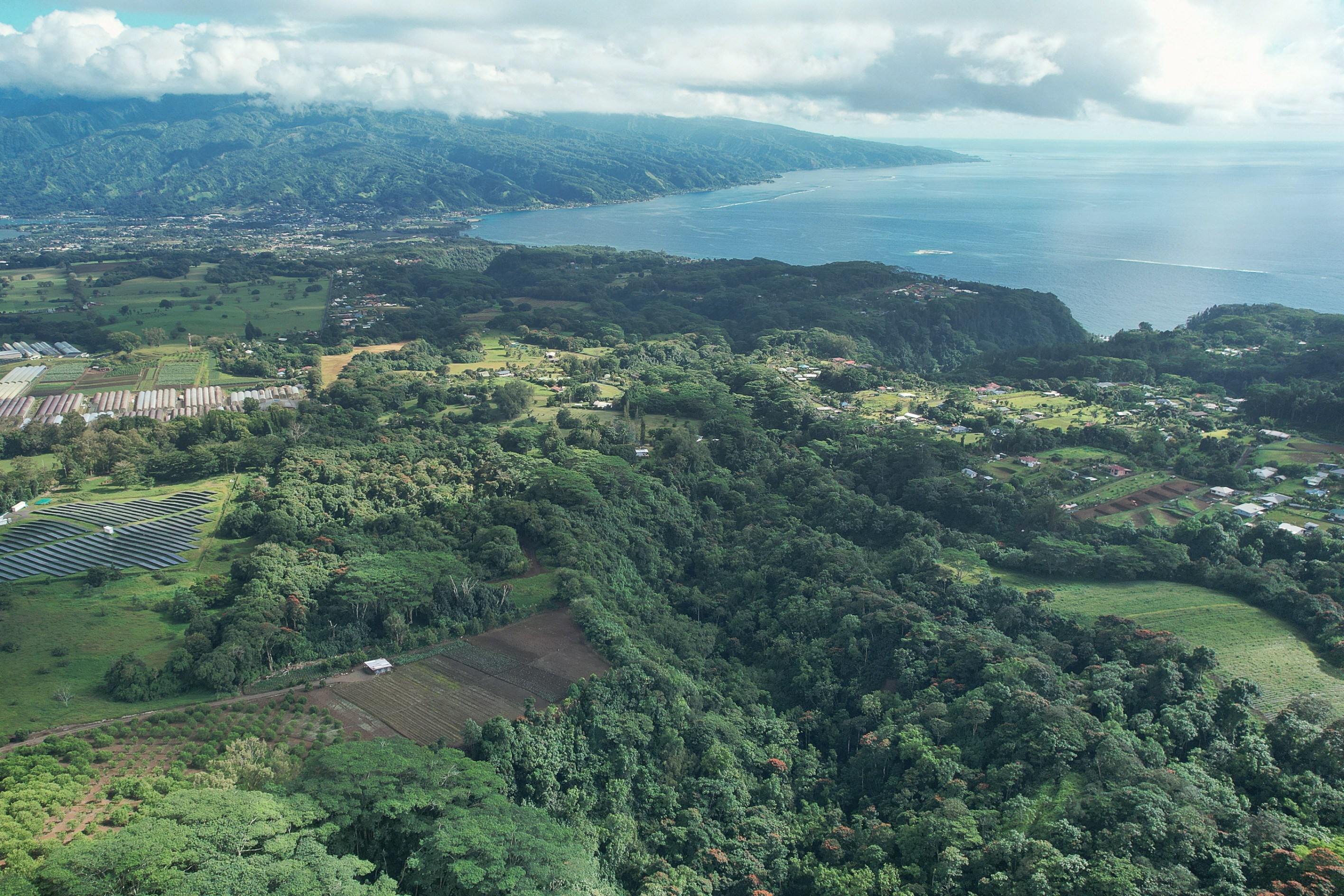  Tahiti - Afaahiti - Exceptional land surrounded by nature - 物件實景