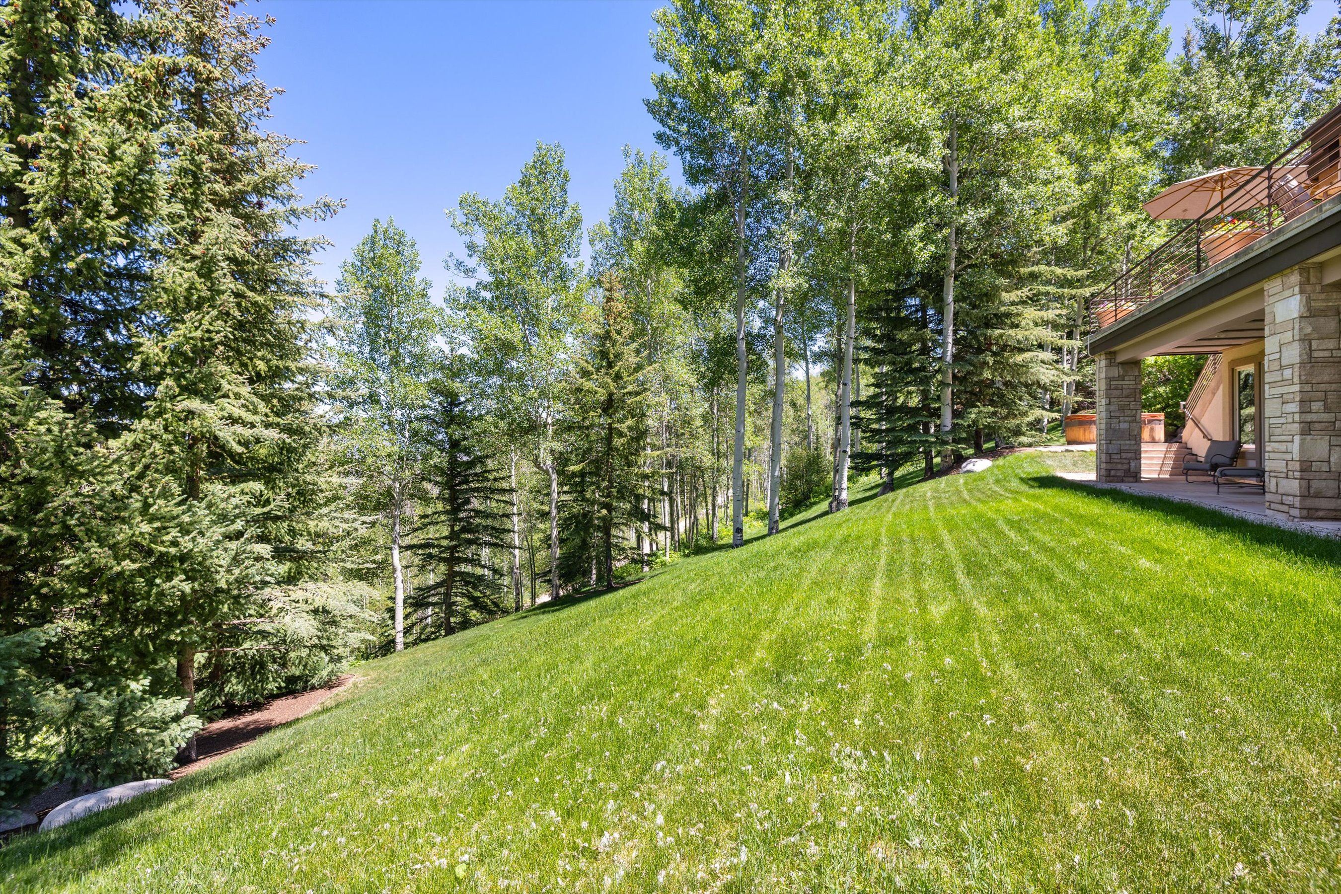  142 Aspen Way, Snowmass Village, CO, 81615 - 物件實景