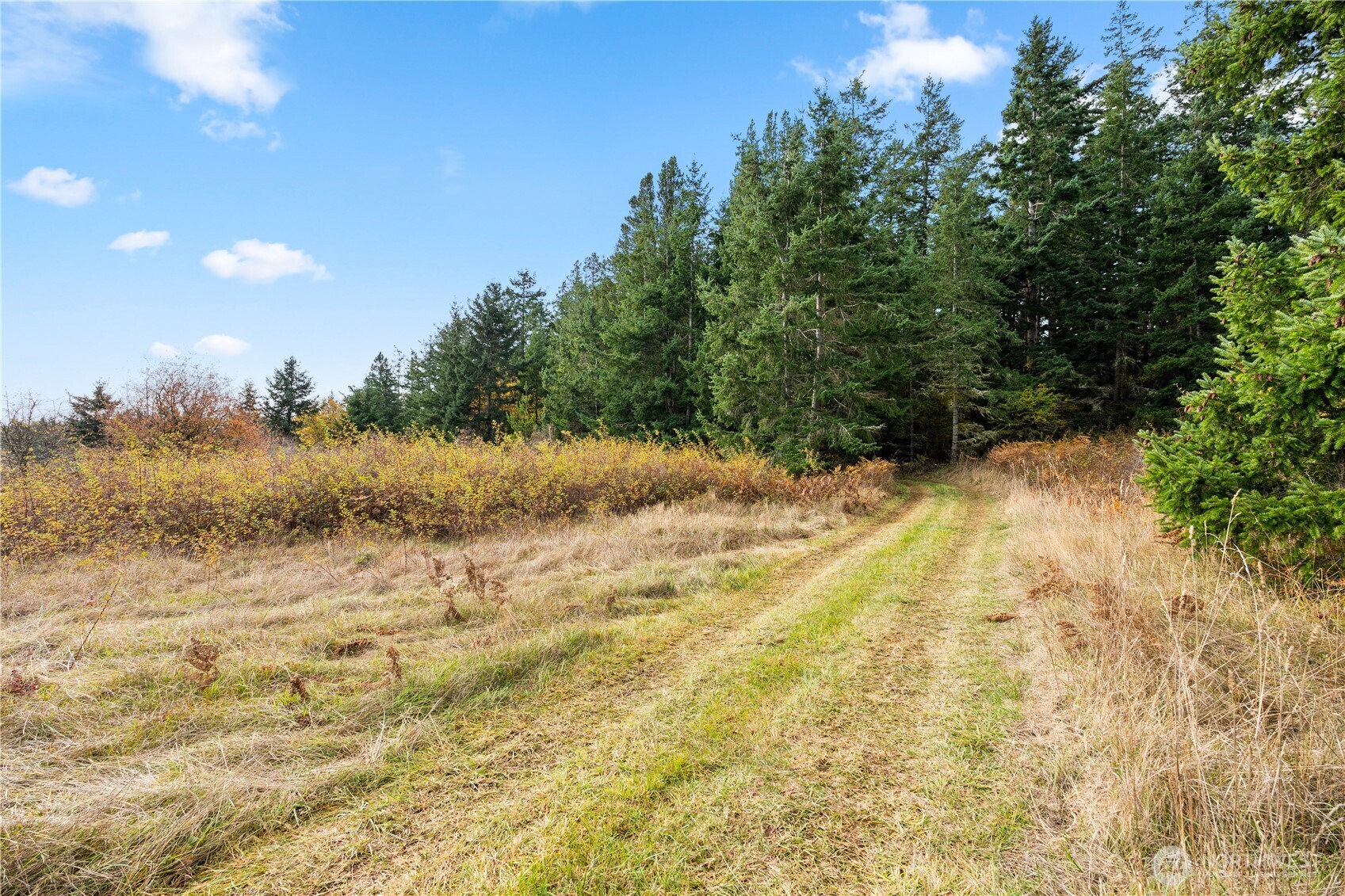 Friday Harbor, Washington, 98250, United States, ,Land,For Sale,1991931