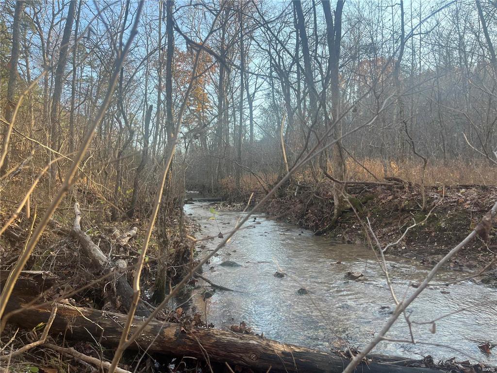 Potosi, Missouri, 65441, United States, ,Land,For Sale,1793756