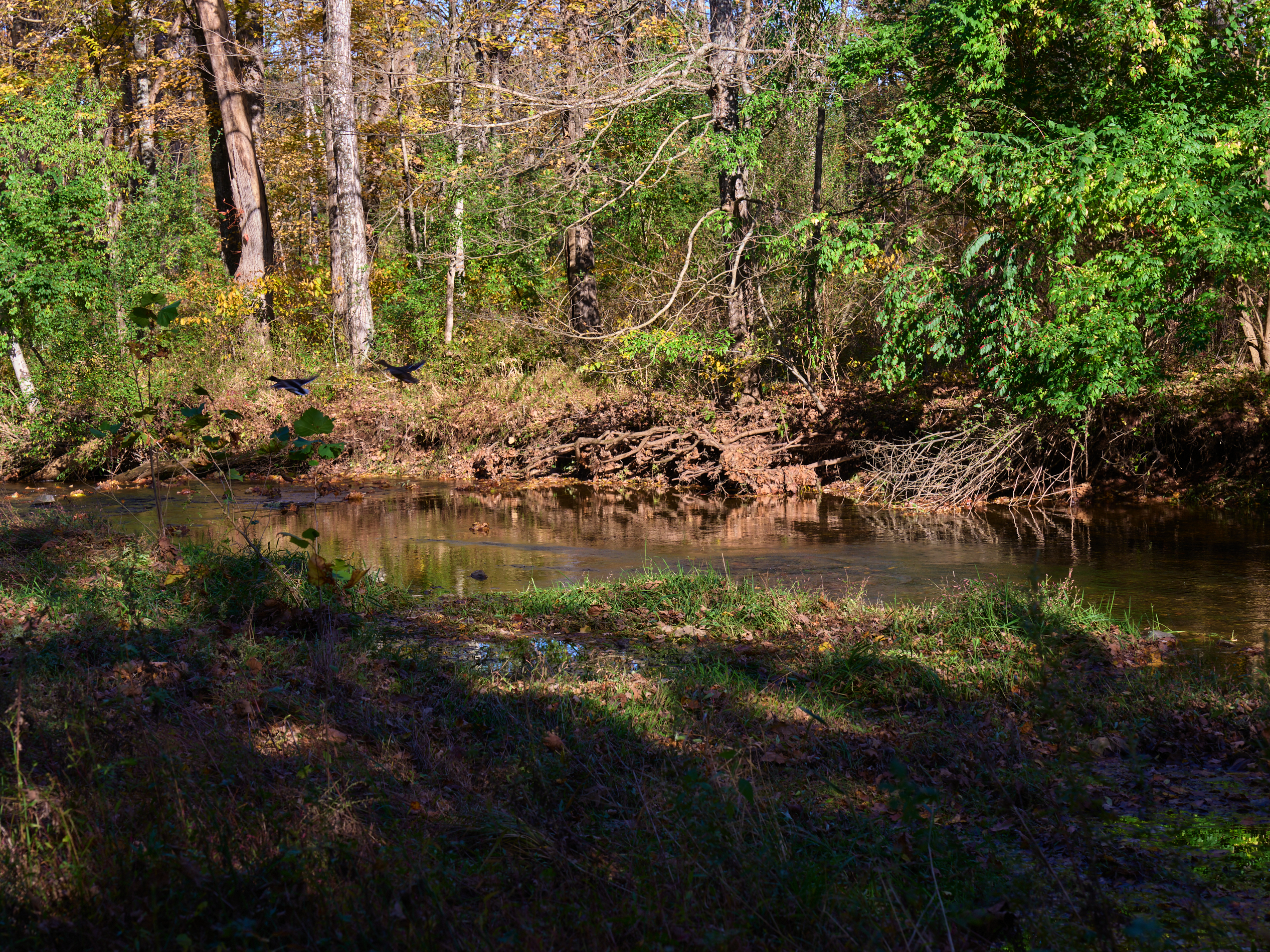  3290 Route 412, Coopersburg, PA 18036 - 物件實景