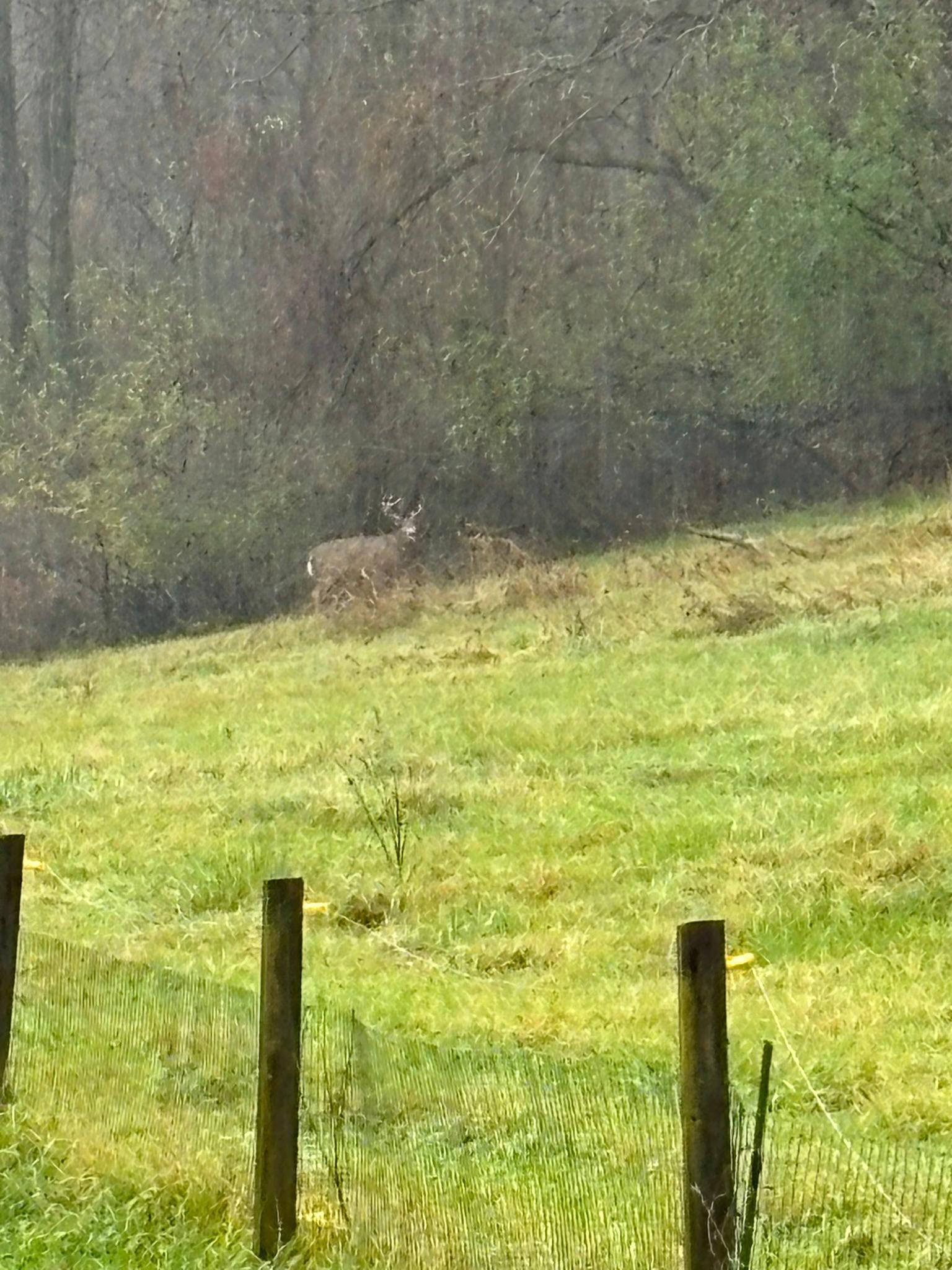 Winona, Minnesota, 55987, United States, 5 Bedrooms Bedrooms, ,2 BathroomsBathrooms,Residential,For Sale,2005788