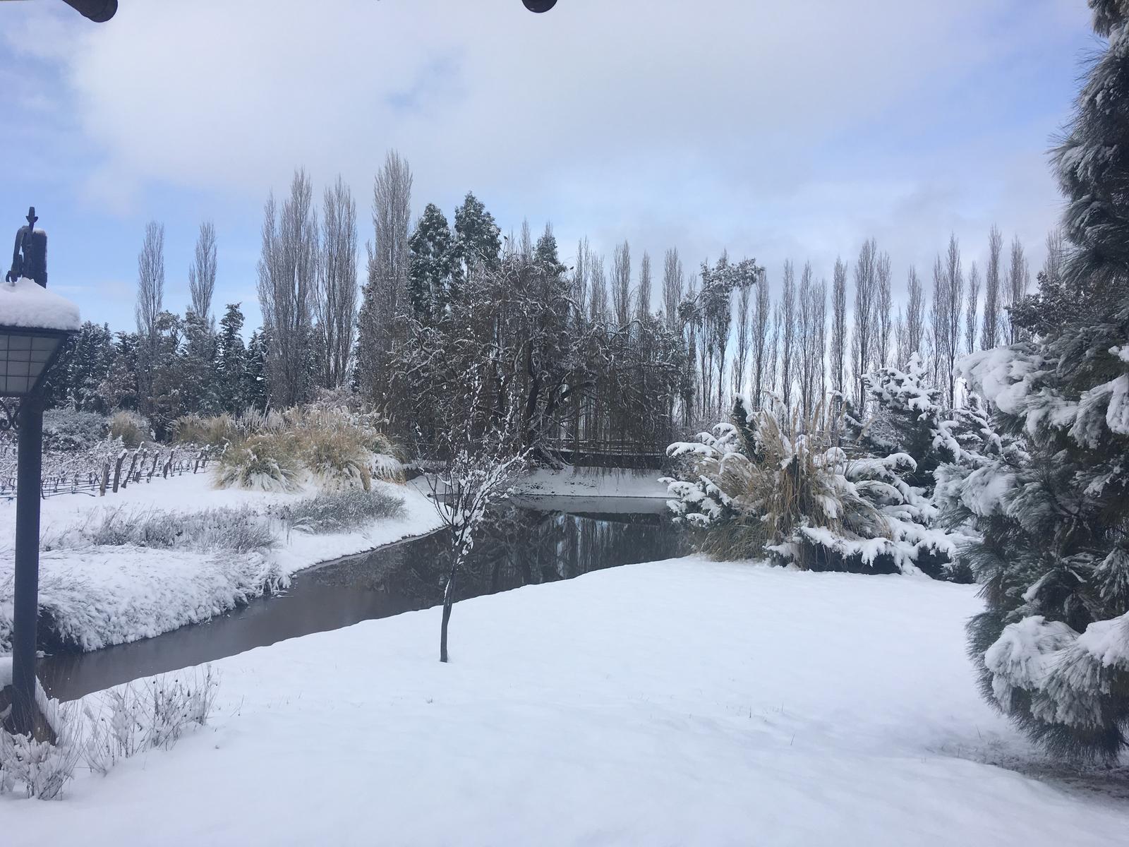 Lujan De Cuyo, AR-M, AR, 5 Bedrooms Bedrooms, ,8 BathroomsBathrooms,Residential,For Sale,1999071