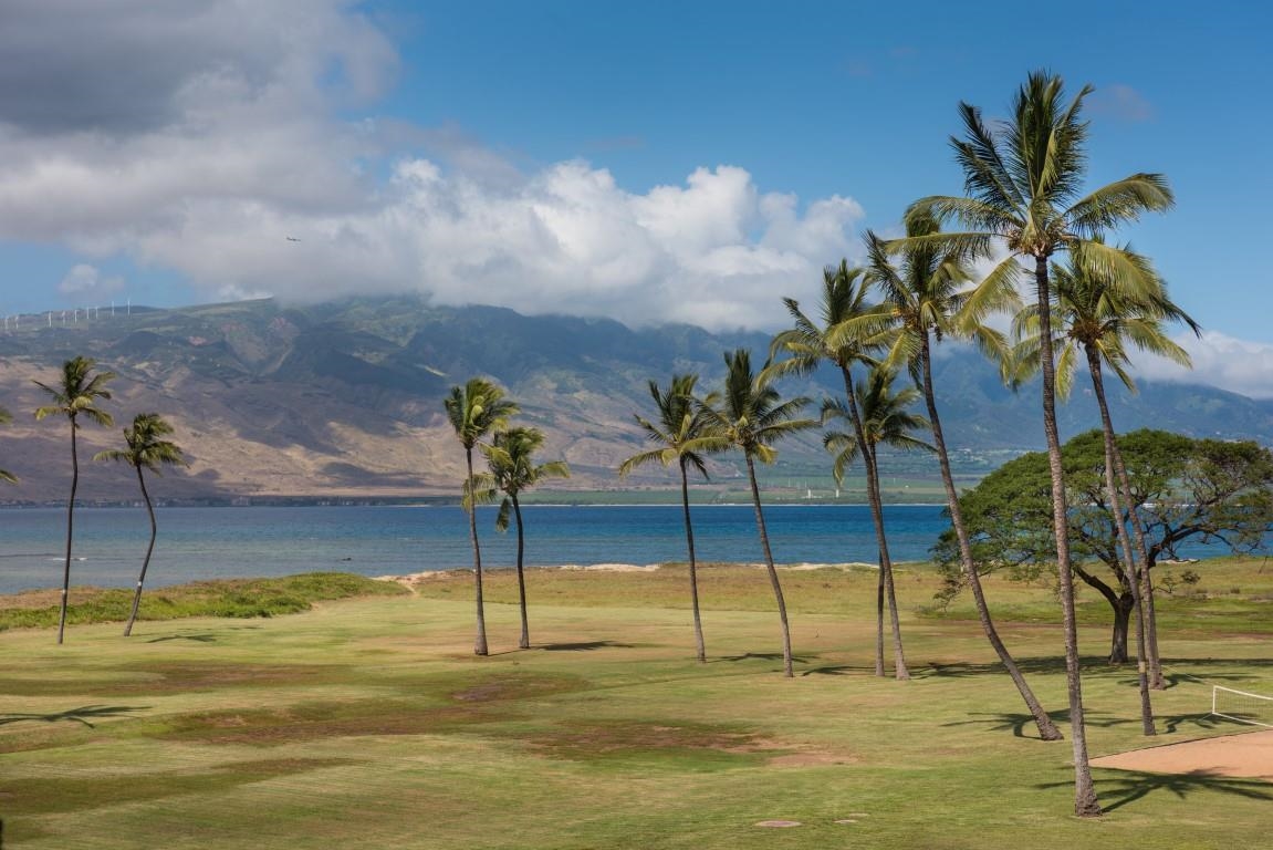 938 S Kihei Rd, Kihei, Hawaii, 96753, United States, 1 Bedroom Bedrooms, ,1 BathroomBathrooms,Residential,For Sale,938 S Kihei Rd,1590102