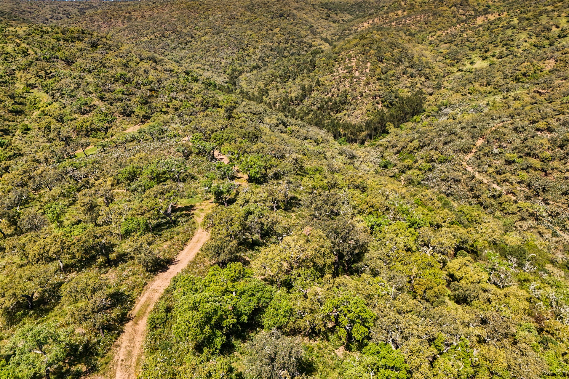 Real estate land for Sale - 物件實景