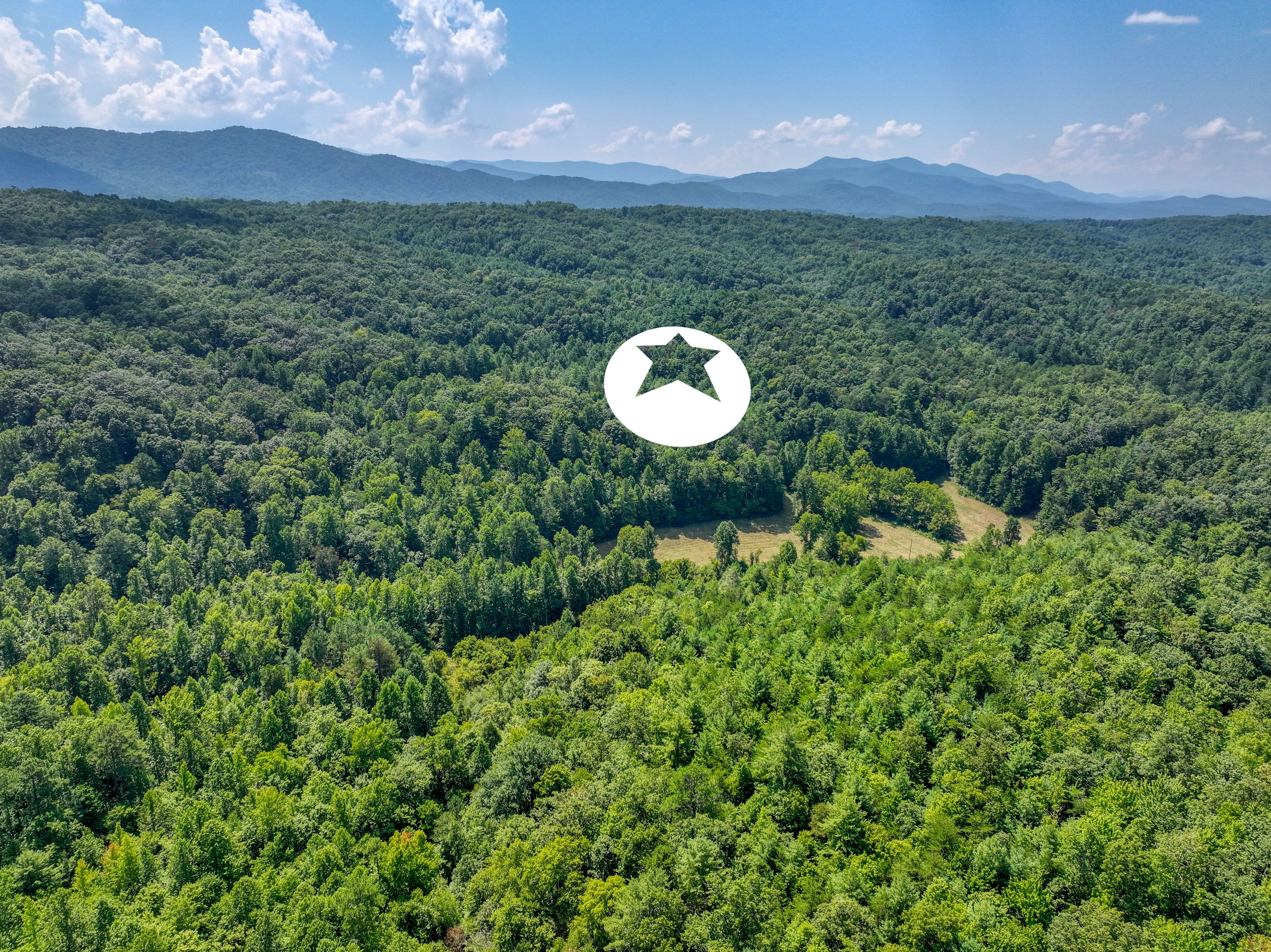  Belcher Loop, Tellico Plains, TN 37385 - 物件實景