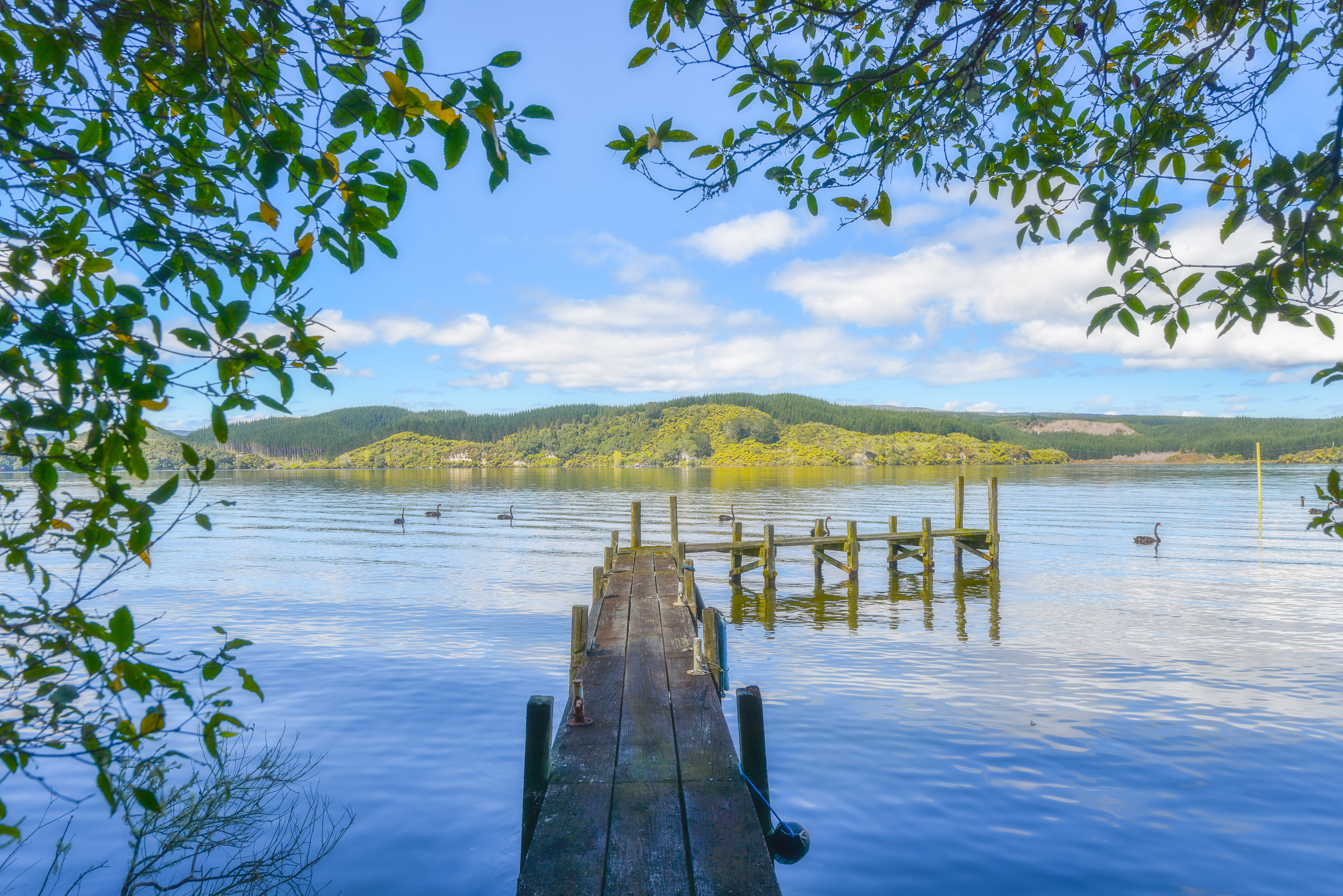  A Hidden Retreat on Lake Rotoiti - 物件實景