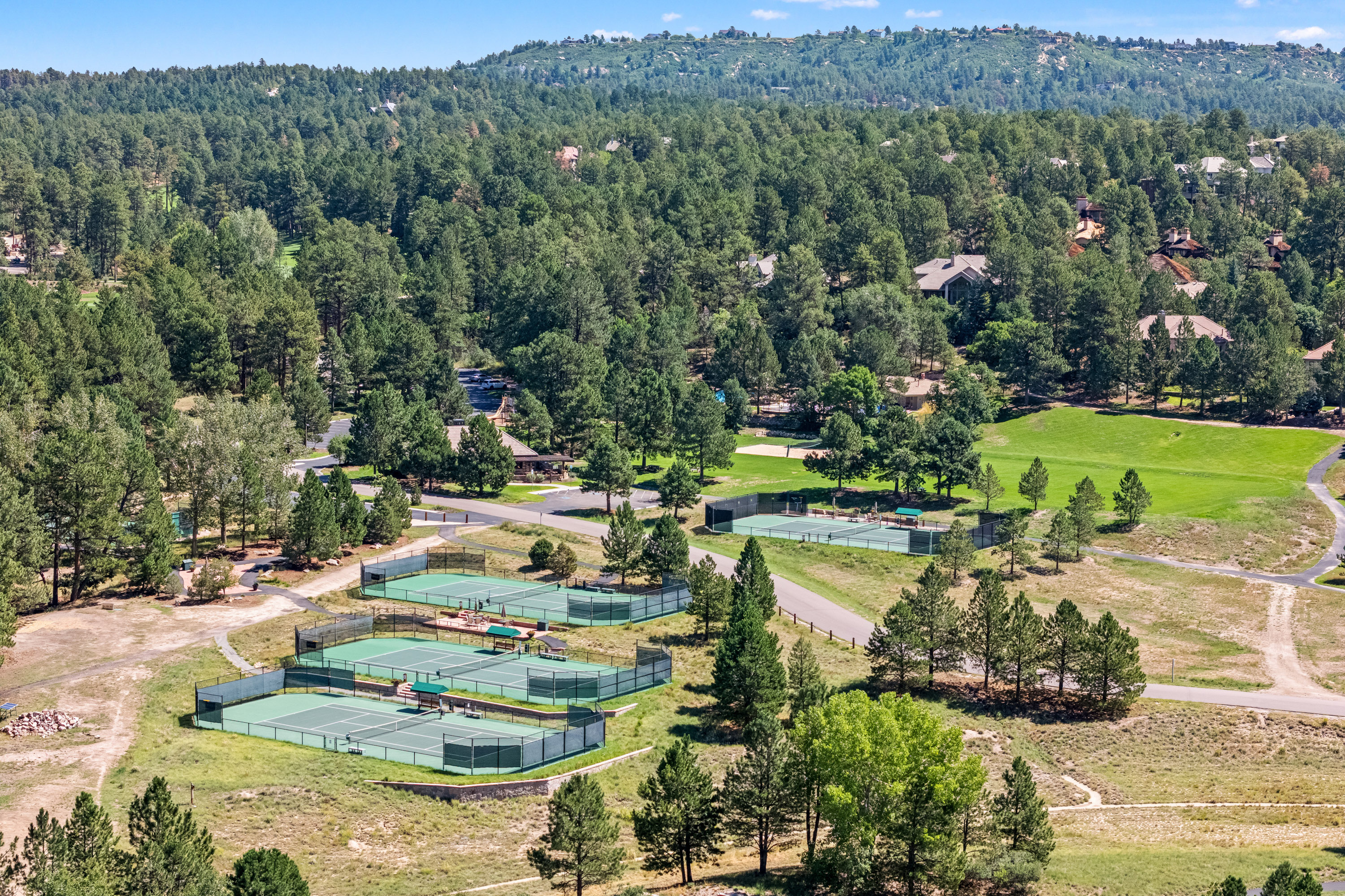  Meticulously maintained ranch-style residence in the Village at Castle Pines - 物件實景