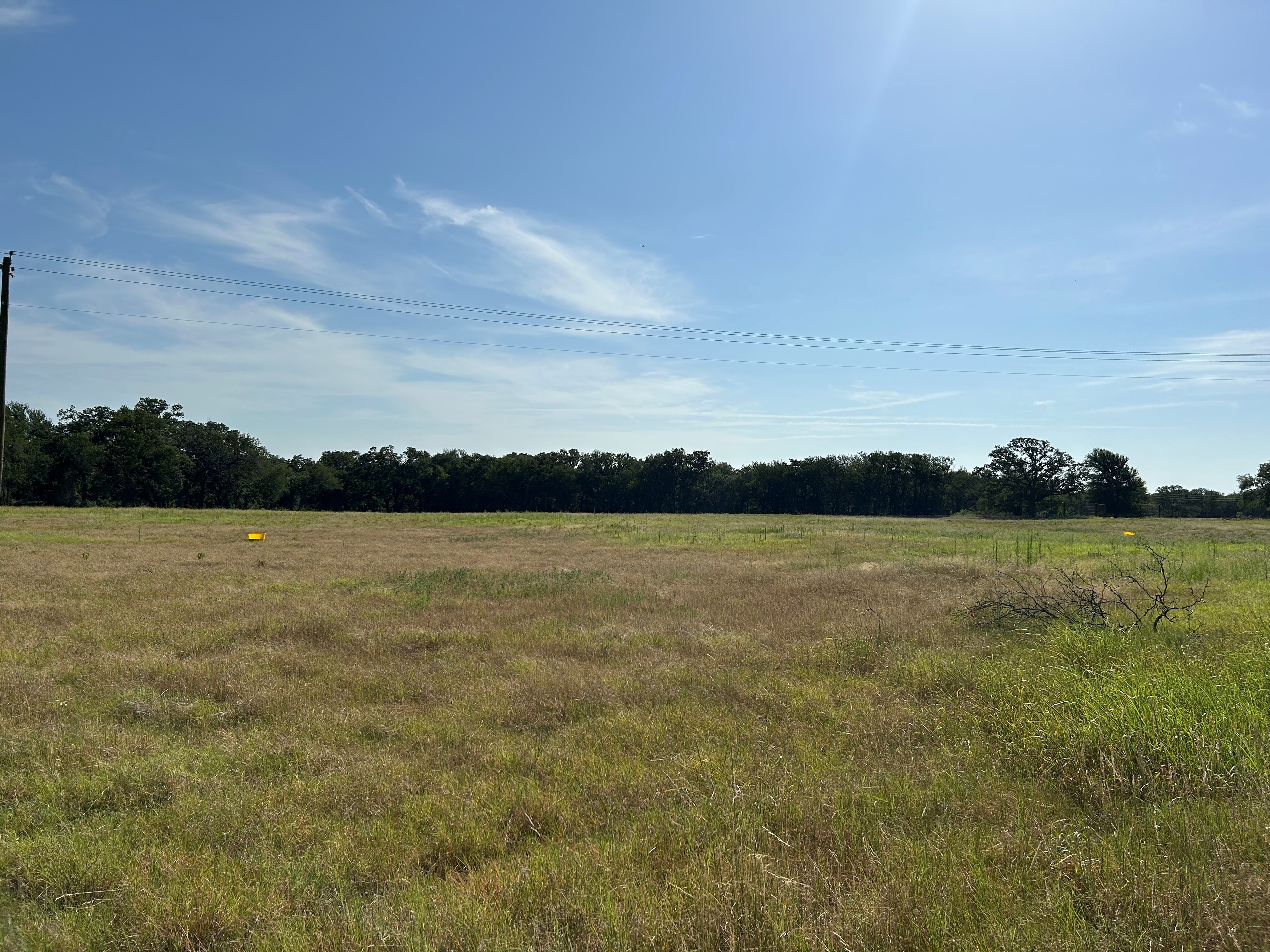 Bridgeport, Texas, 76426, United States, ,Land,For Sale,1981851