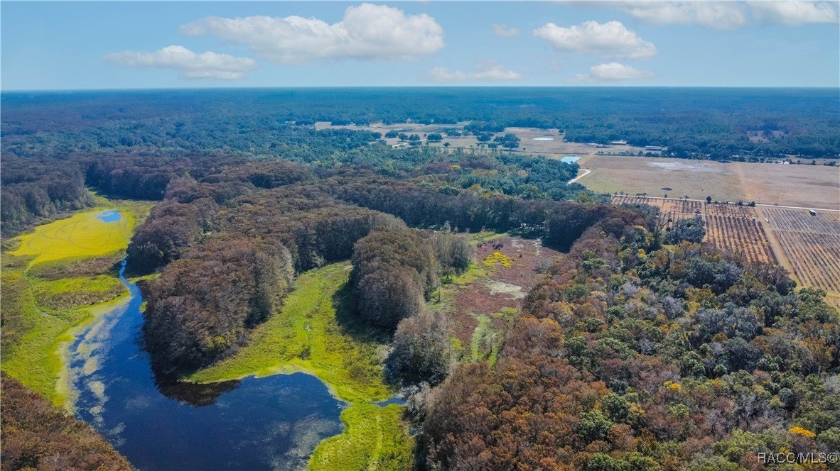 Inverness, Florida, 34450, United States, 4 Bedrooms Bedrooms, ,7 BathroomsBathrooms,Residential,For Sale,2005409