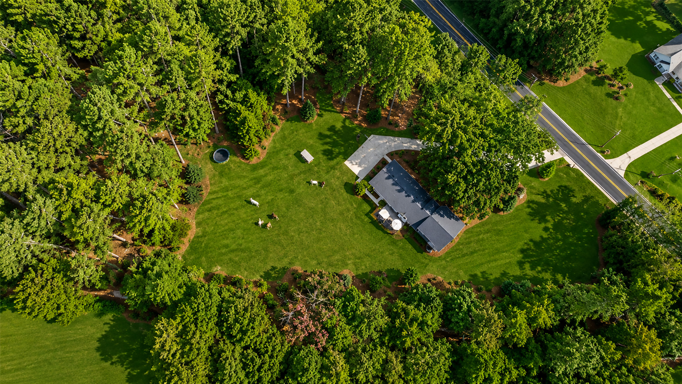  Stunning Fully Renovated Oasis on 2.4+/- Acres - 物件實景