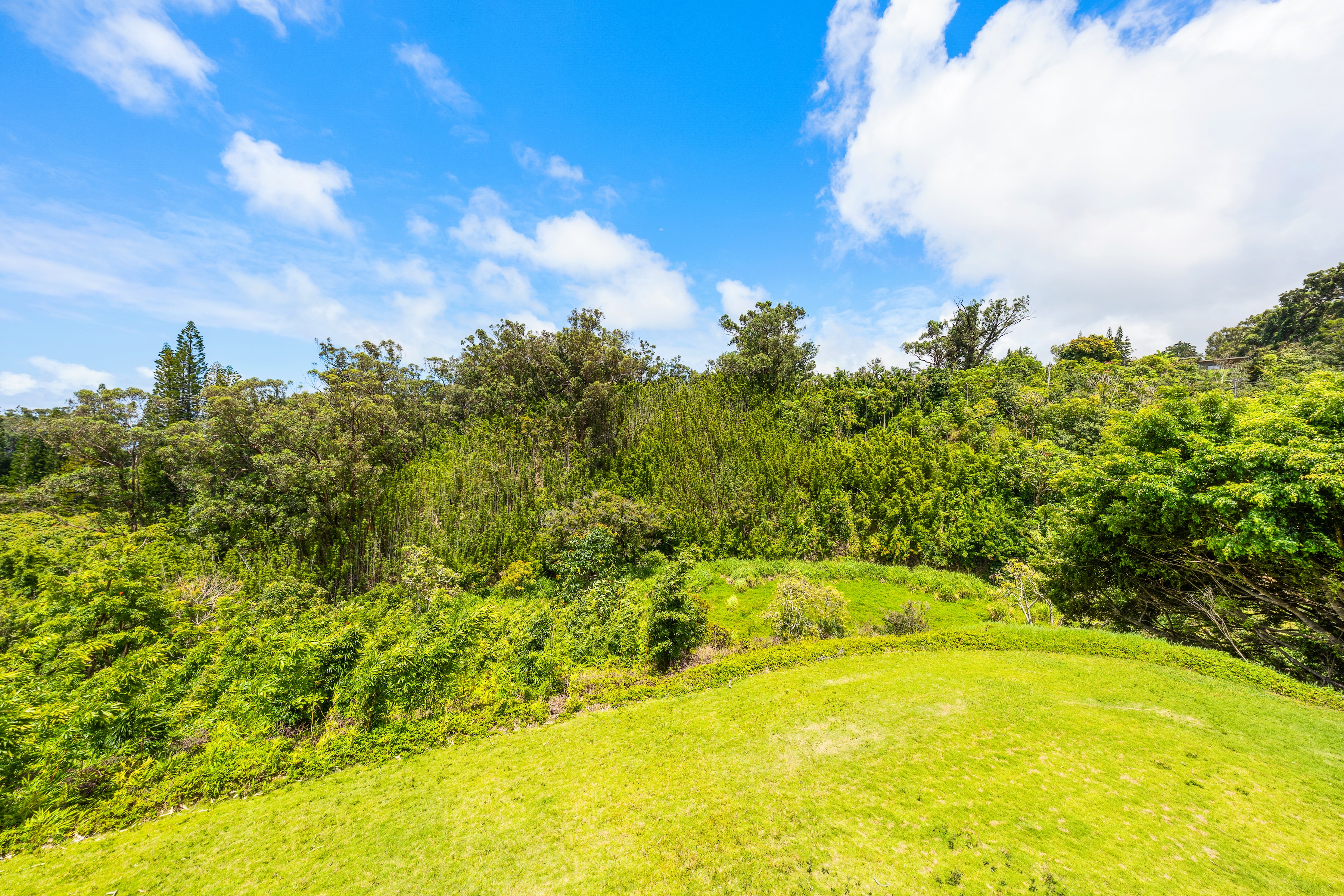  Architectural Haiku Retreat on Nearly 10 Private Acres - 物件實景