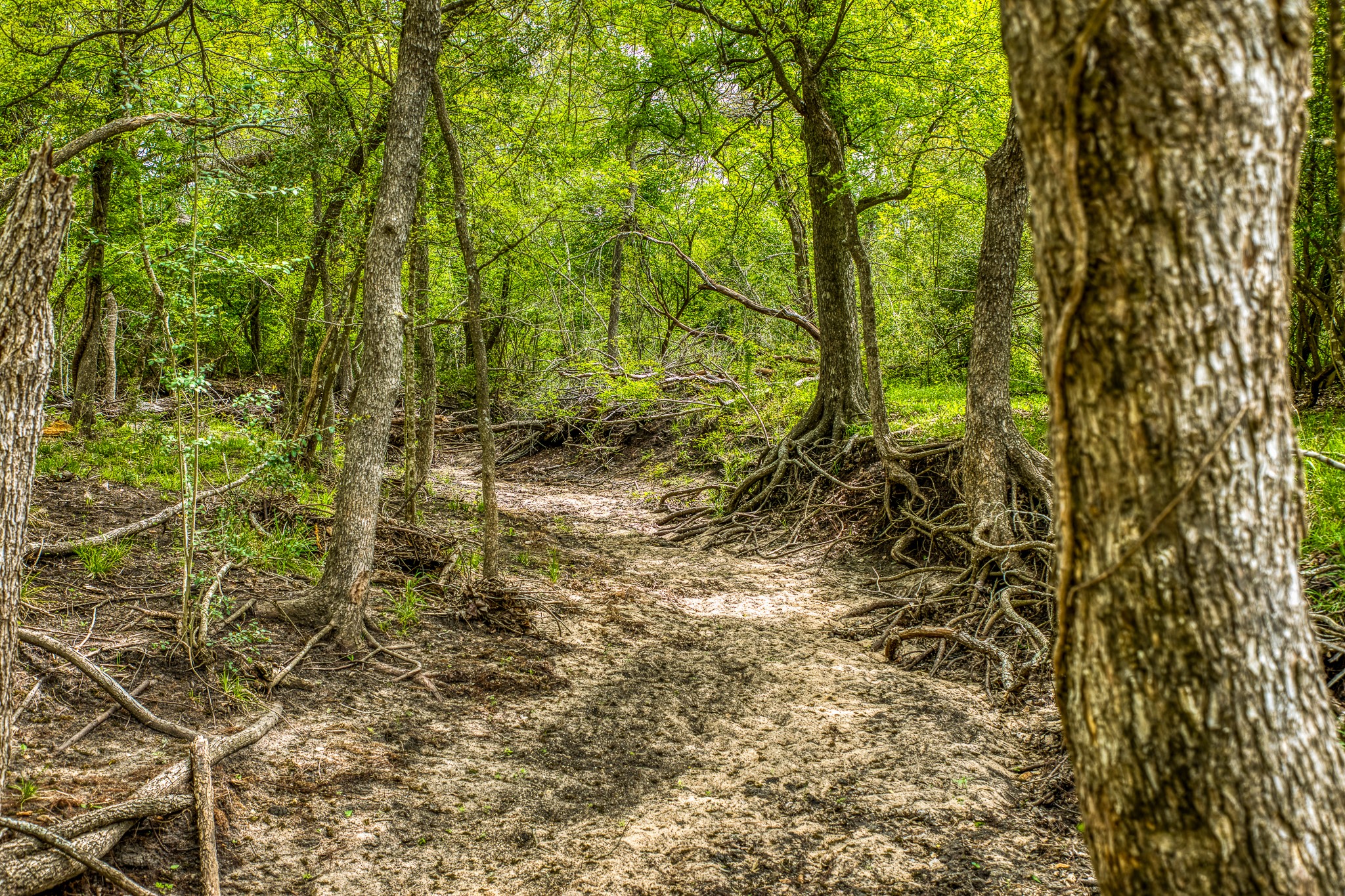  20751 Fm 1155, Washington, TX, 77880 - 物件實景