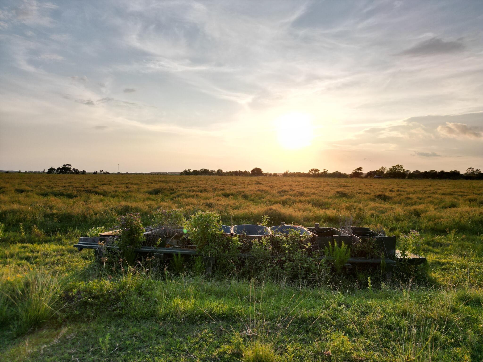 Anahuac, Texas, 77514, United States, ,Land,For Sale,1947447