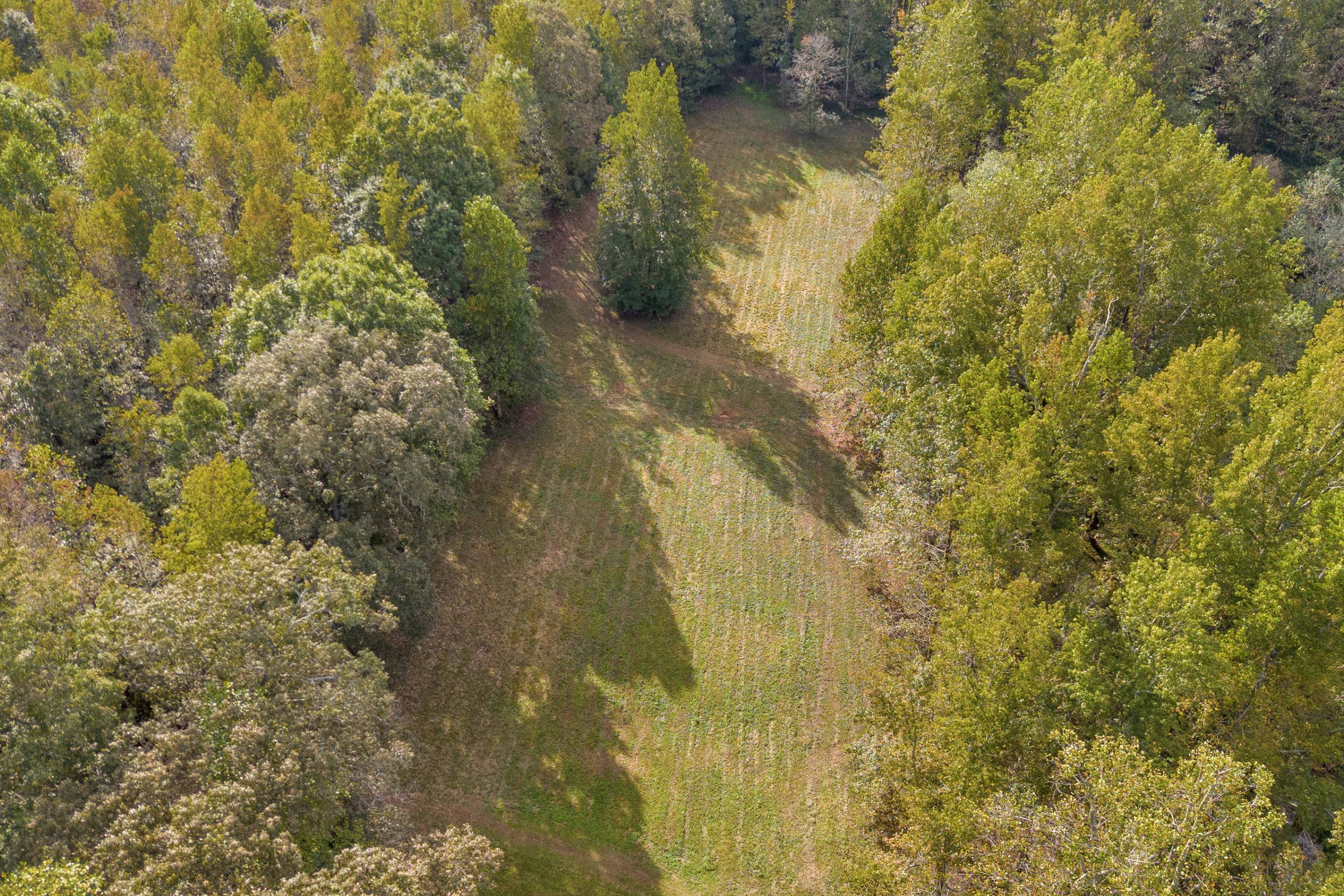 Cleveland, Georgia, 30528, United States, 3 Bedrooms Bedrooms, ,2 BathroomsBathrooms,Residential,For Sale,1979350