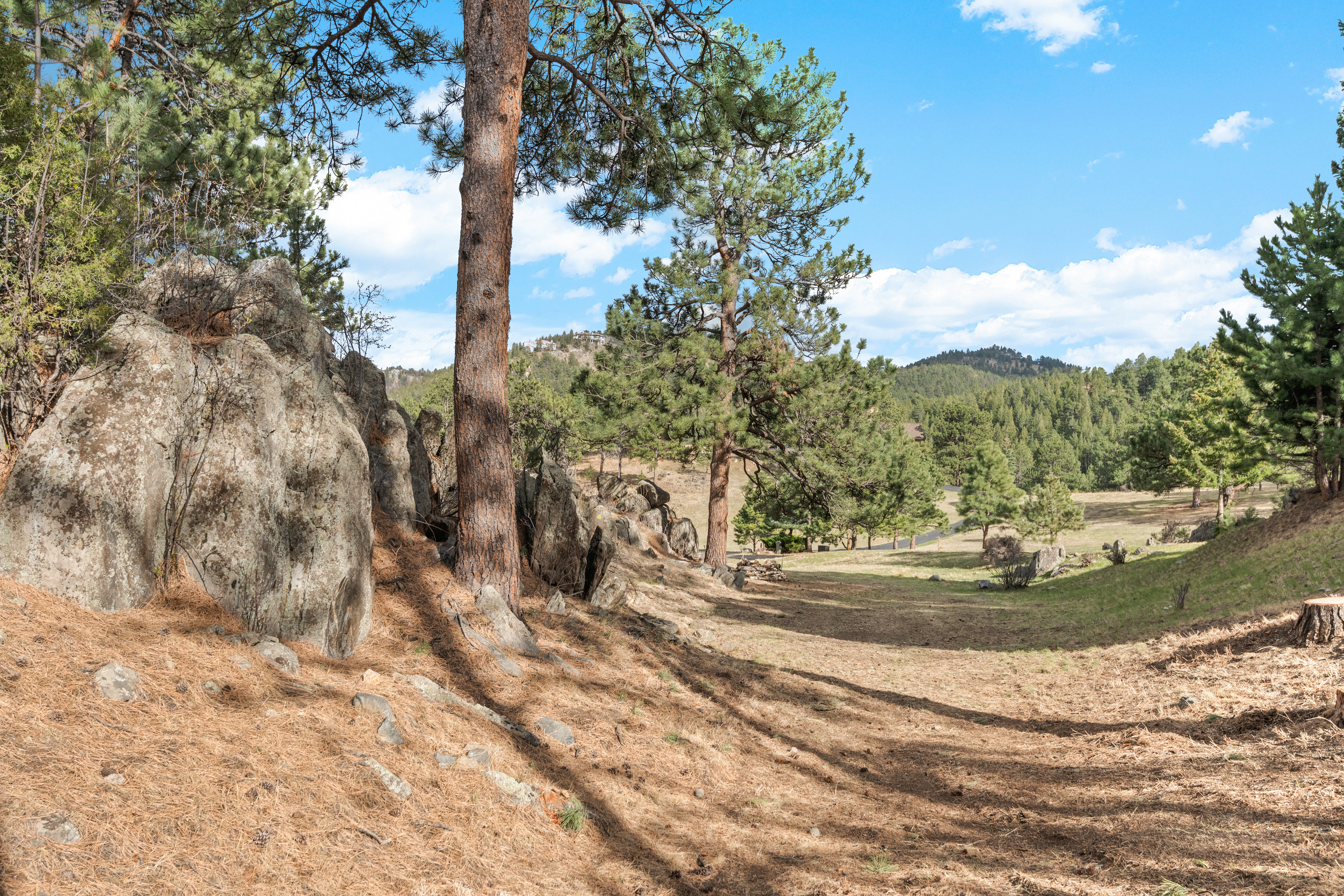  Exceptional Mountain Estate - 物件實景