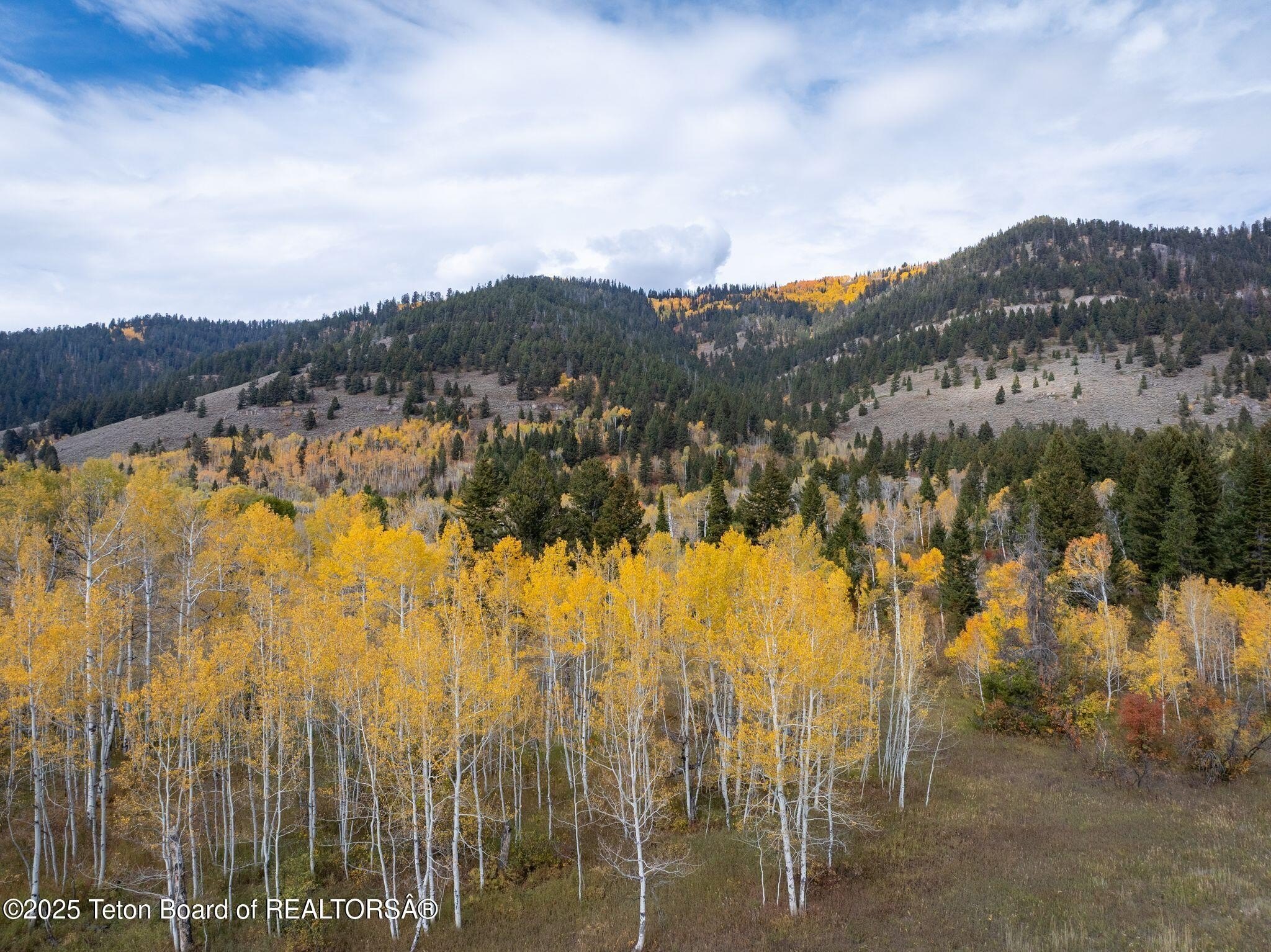 Wilson, Wyoming, 83014, United States, 5 Bedrooms Bedrooms, ,1 BathroomBathrooms,Residential,For Sale,1976162