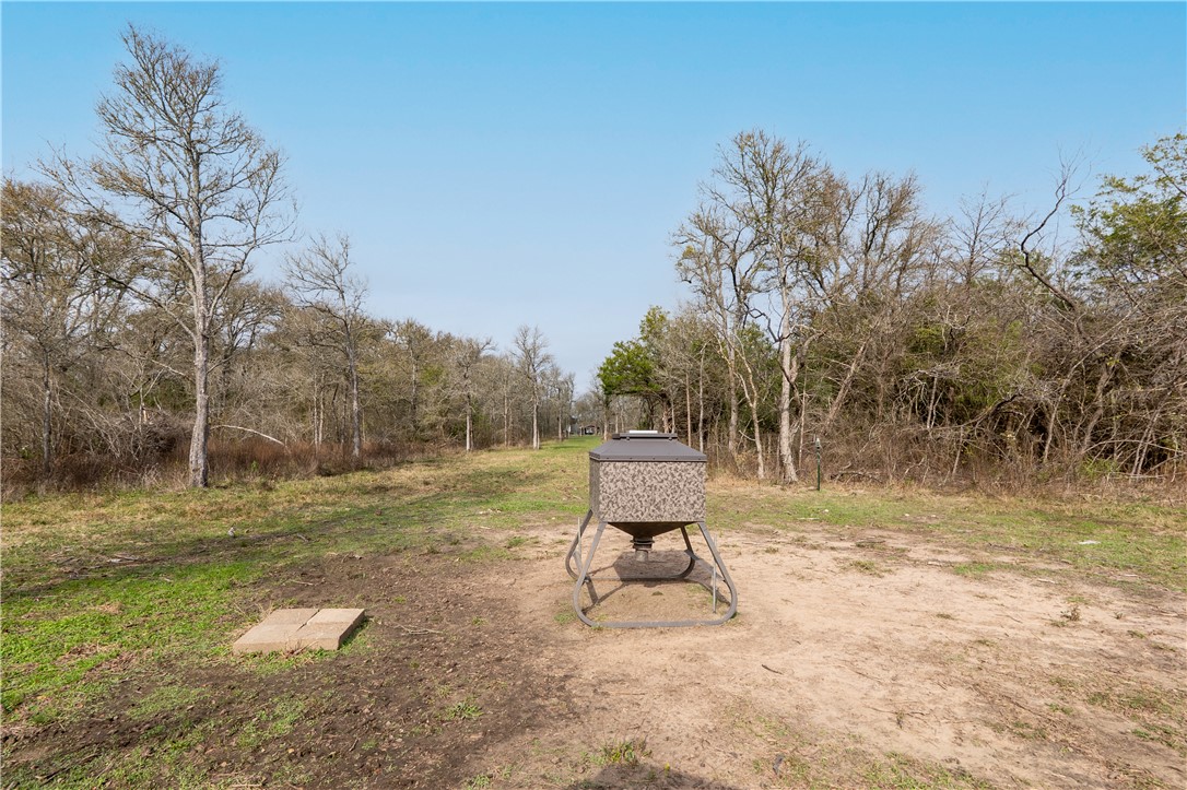 Thornton, Texas, 76687, United States, ,Land,For Sale,2003074
