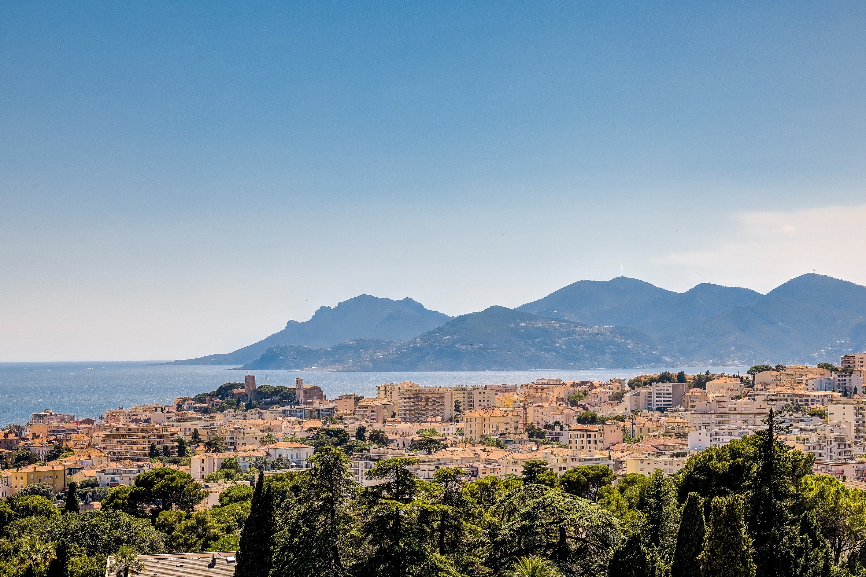  Cannes Oxford: Sea view apartment with triple aspect in a prestigious residenti… - 物件實景