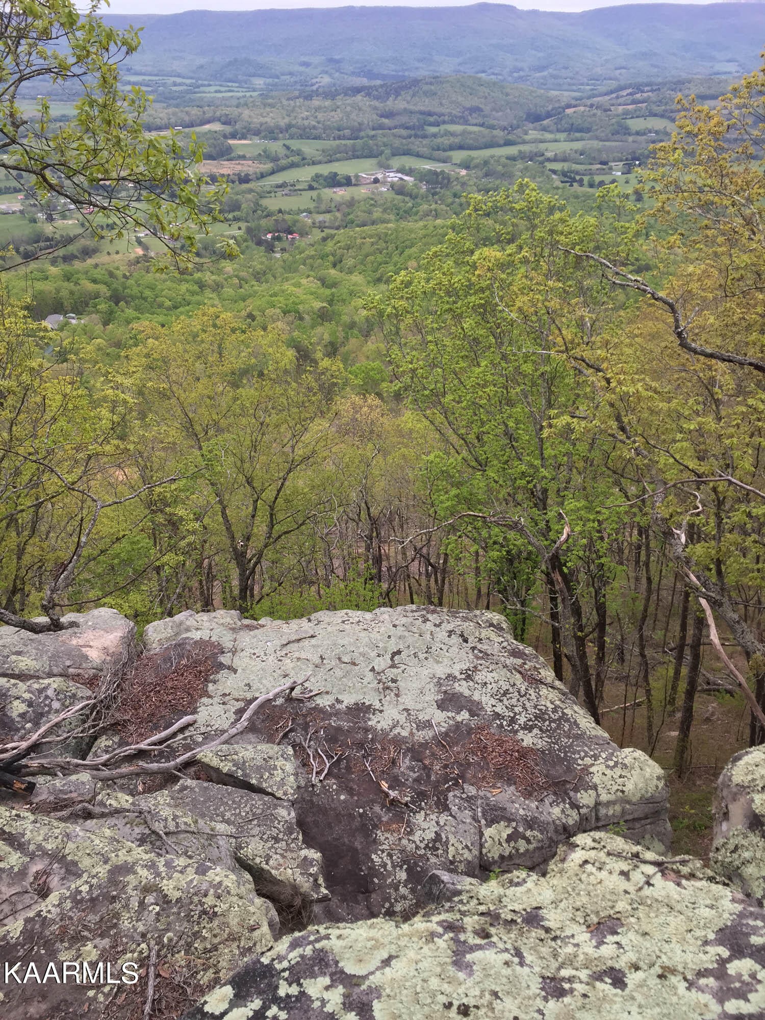 Pikeville, Tennessee, 37367, United States, ,Residential,For Sale,1943070