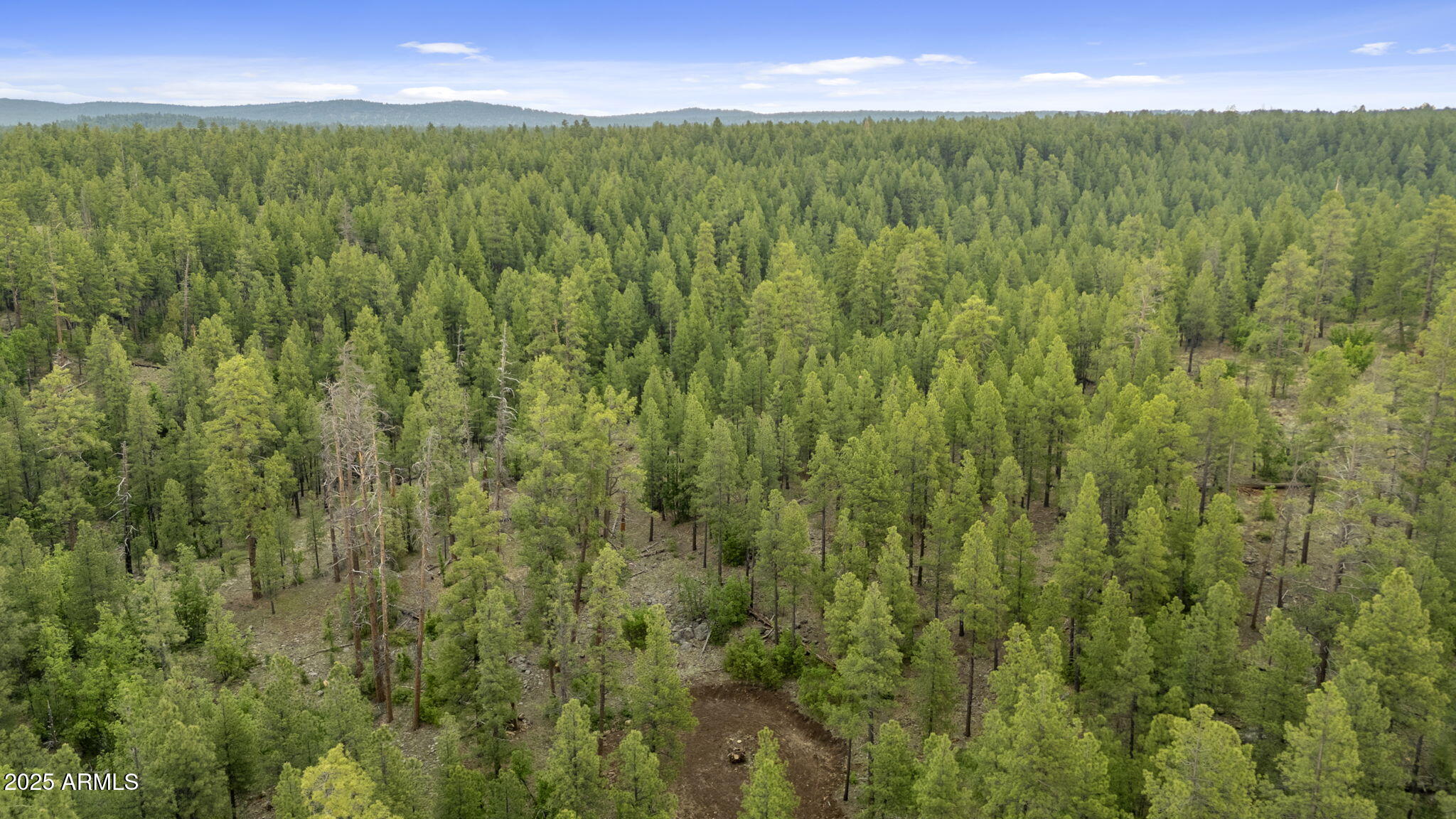 Munds Park, Arizona, 86017, United States, ,Land,For Sale,1865500