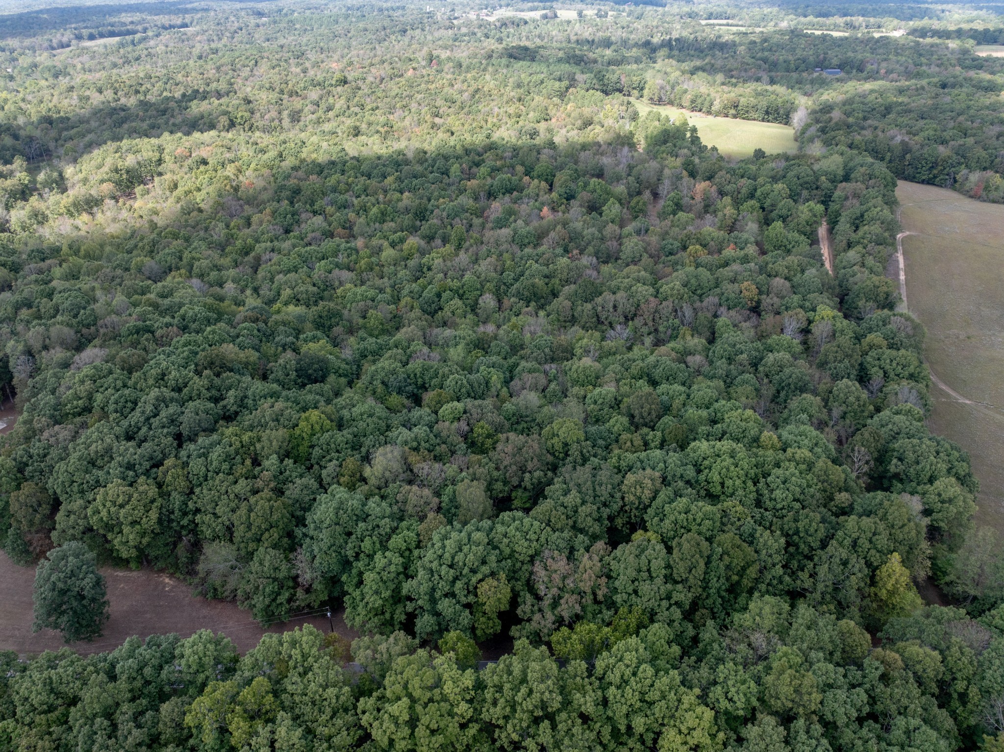 Mc Ewen, Tennessee, 37101, United States, ,Residential,For Sale,1923664