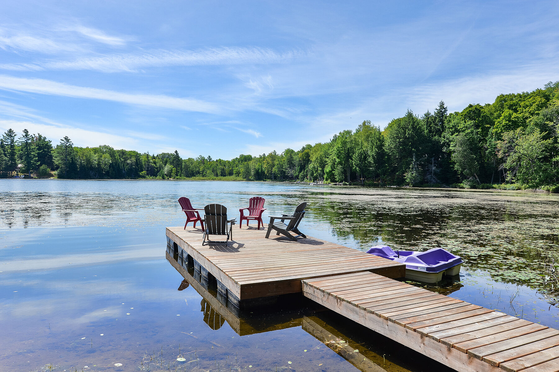  Quiet Cottage on Boyne Lake - 物件實景