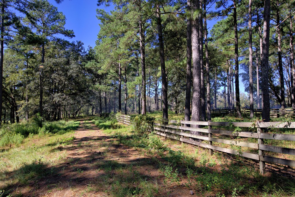 Pavo, Georgia, 31778, United States, ,Residential,For Sale,1988640